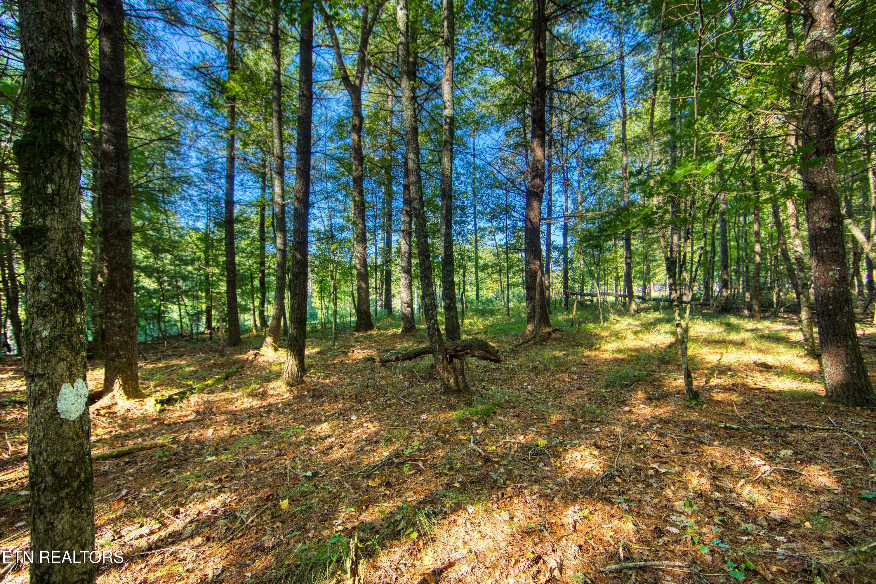 218 Lonesome Pine Lane Jamestown TN 38556