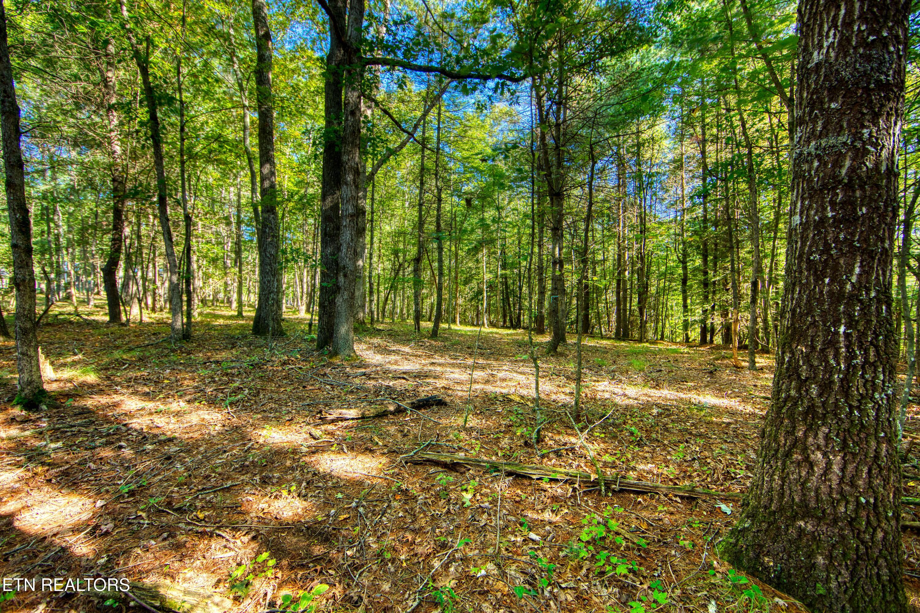 218 Lonesome Pine Lane Jamestown TN 38556
