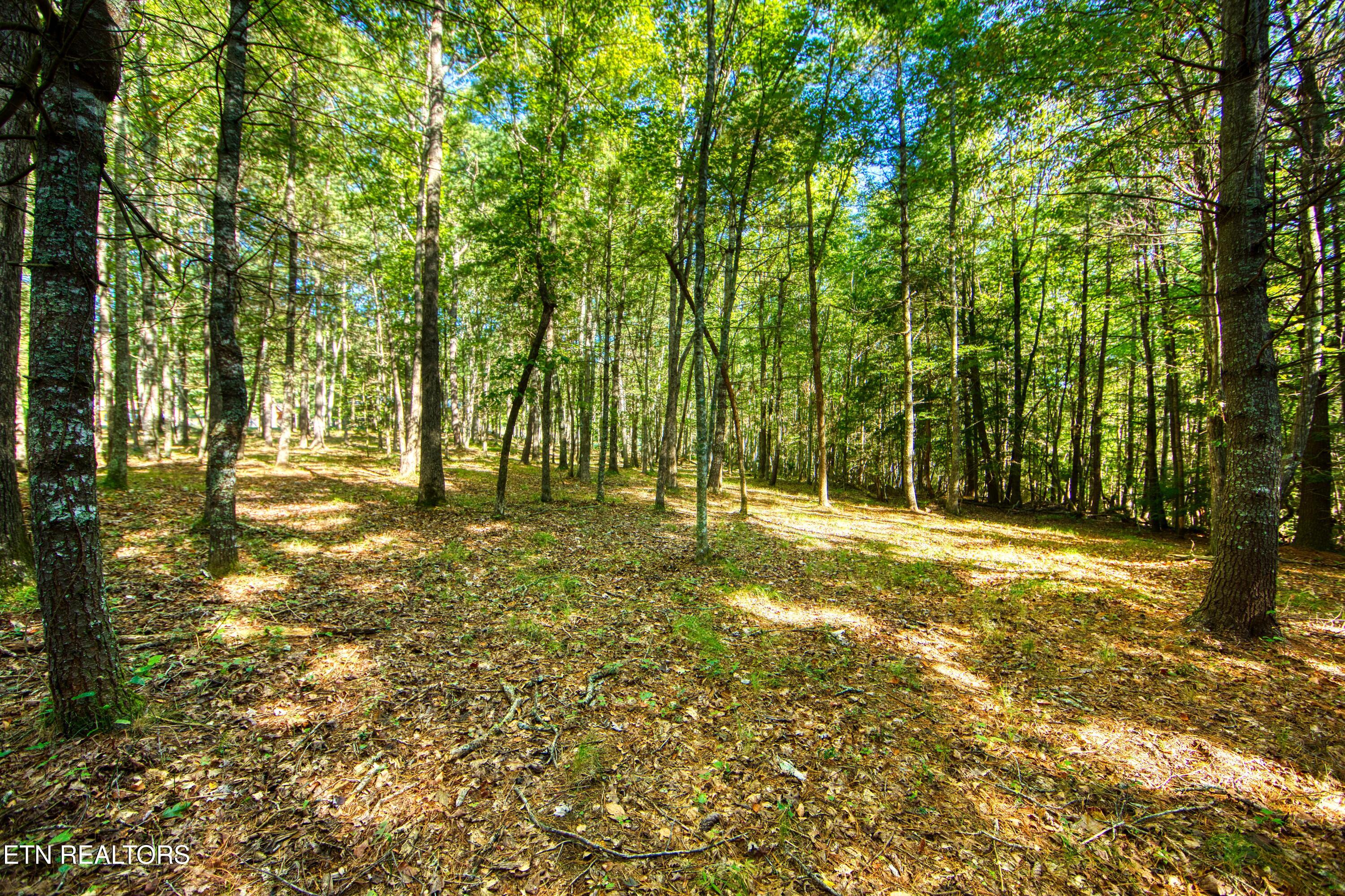 218 Lonesome Pine Lane Jamestown TN 38556