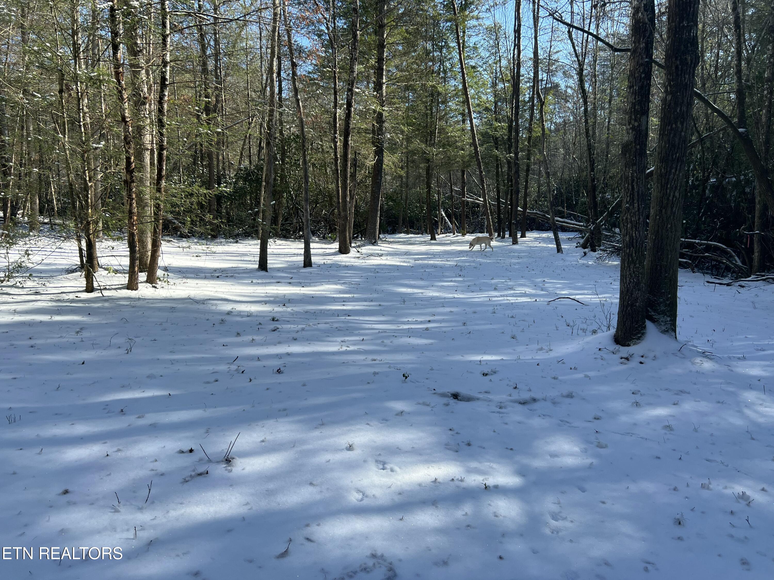 218 Lonesome Pine Lane Jamestown TN 38556