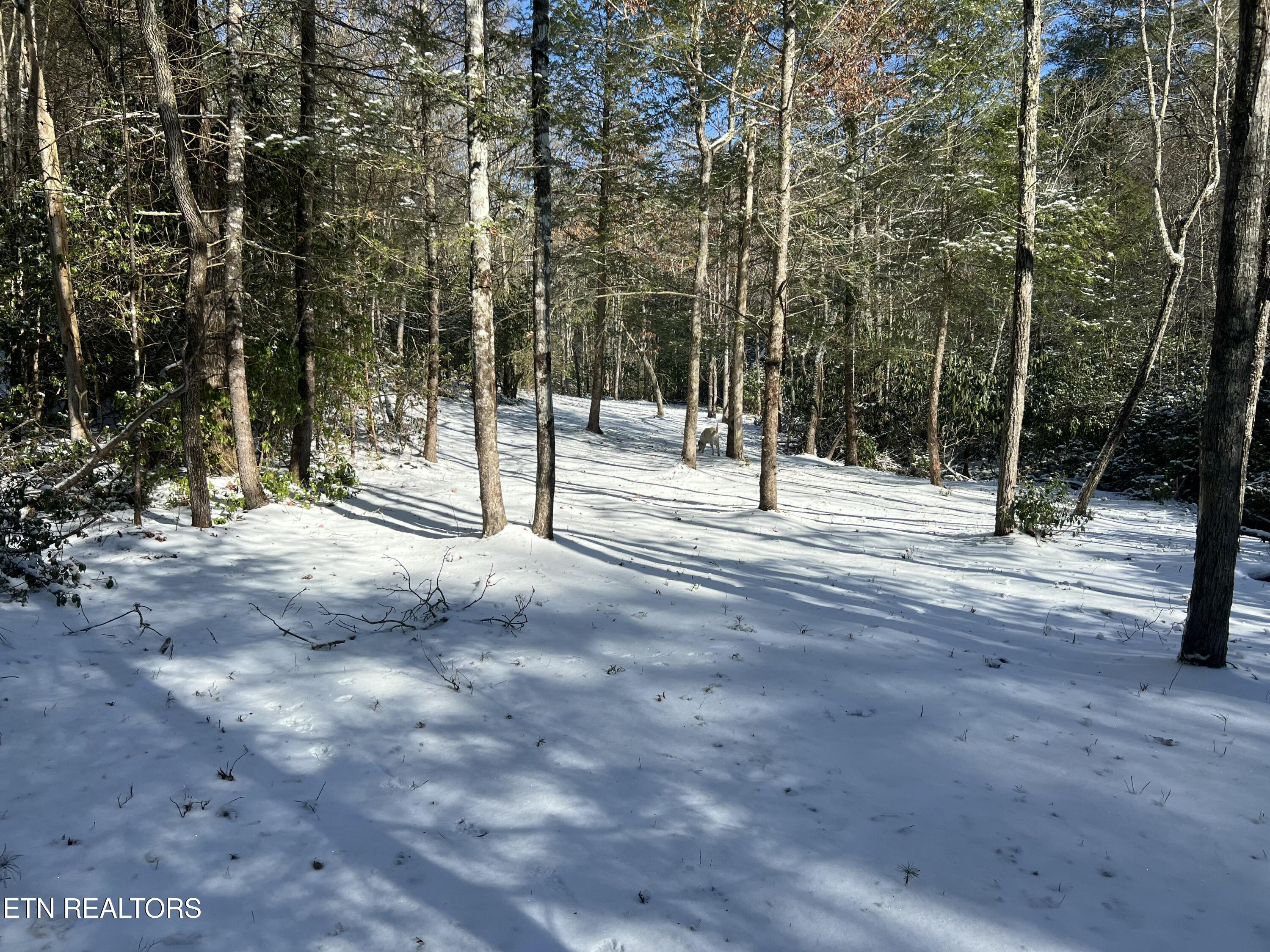 218 Lonesome Pine Lane Jamestown TN 38556