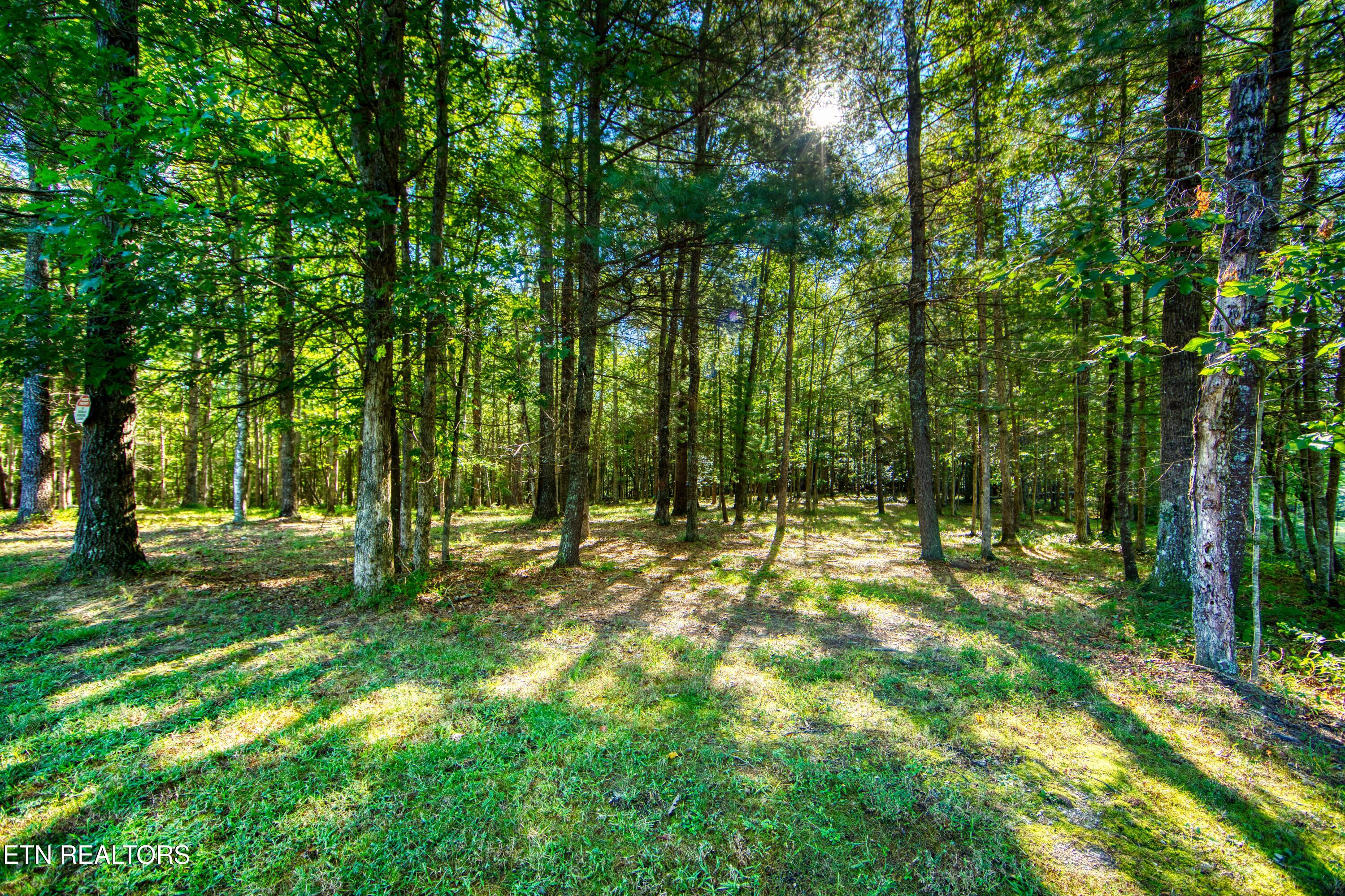 218 Lonesome Pine Lane Jamestown TN 38556