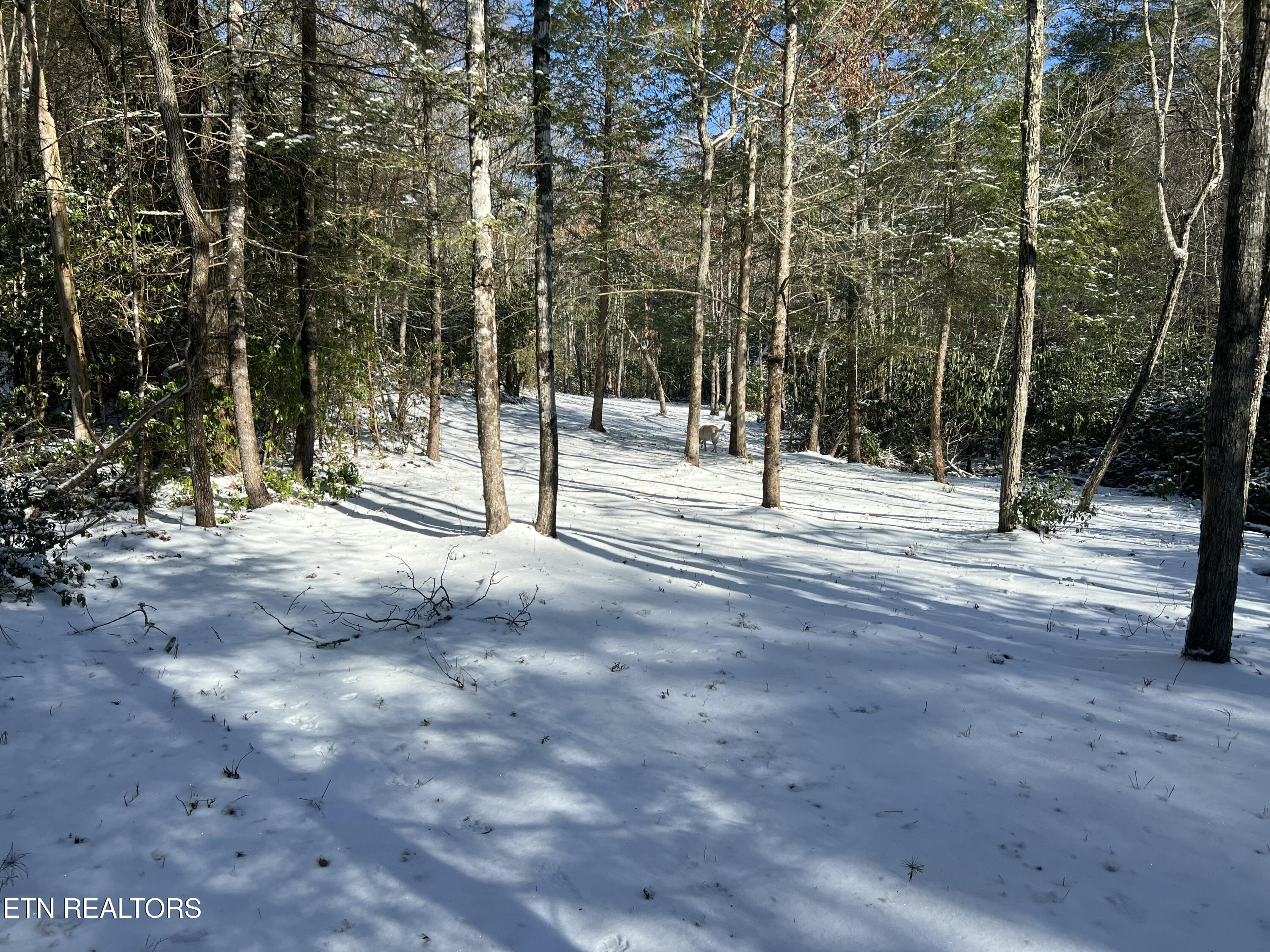 218 Lonesome Pine Lane Jamestown TN 38556