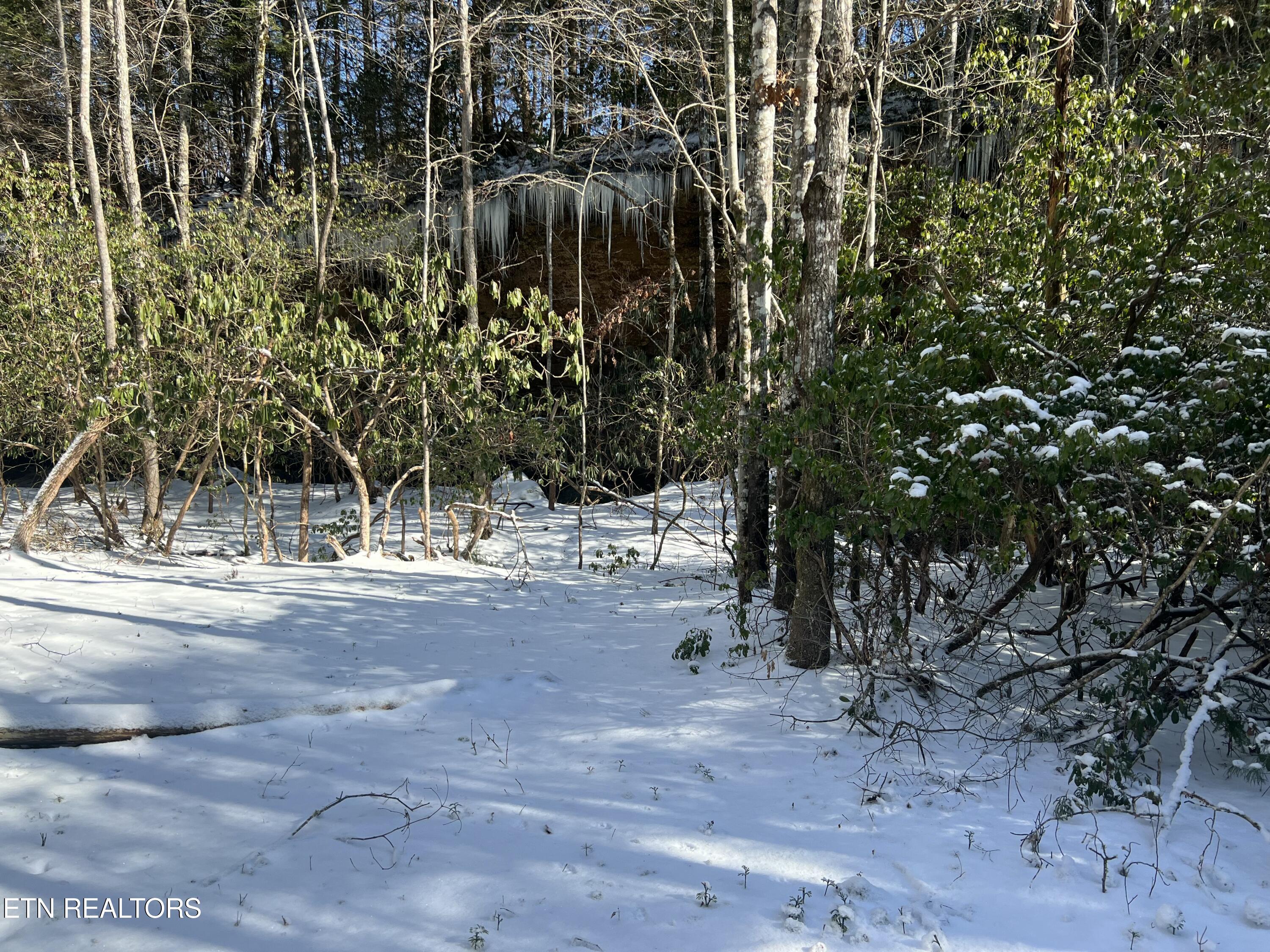 218 Lonesome Pine Lane Jamestown TN 38556