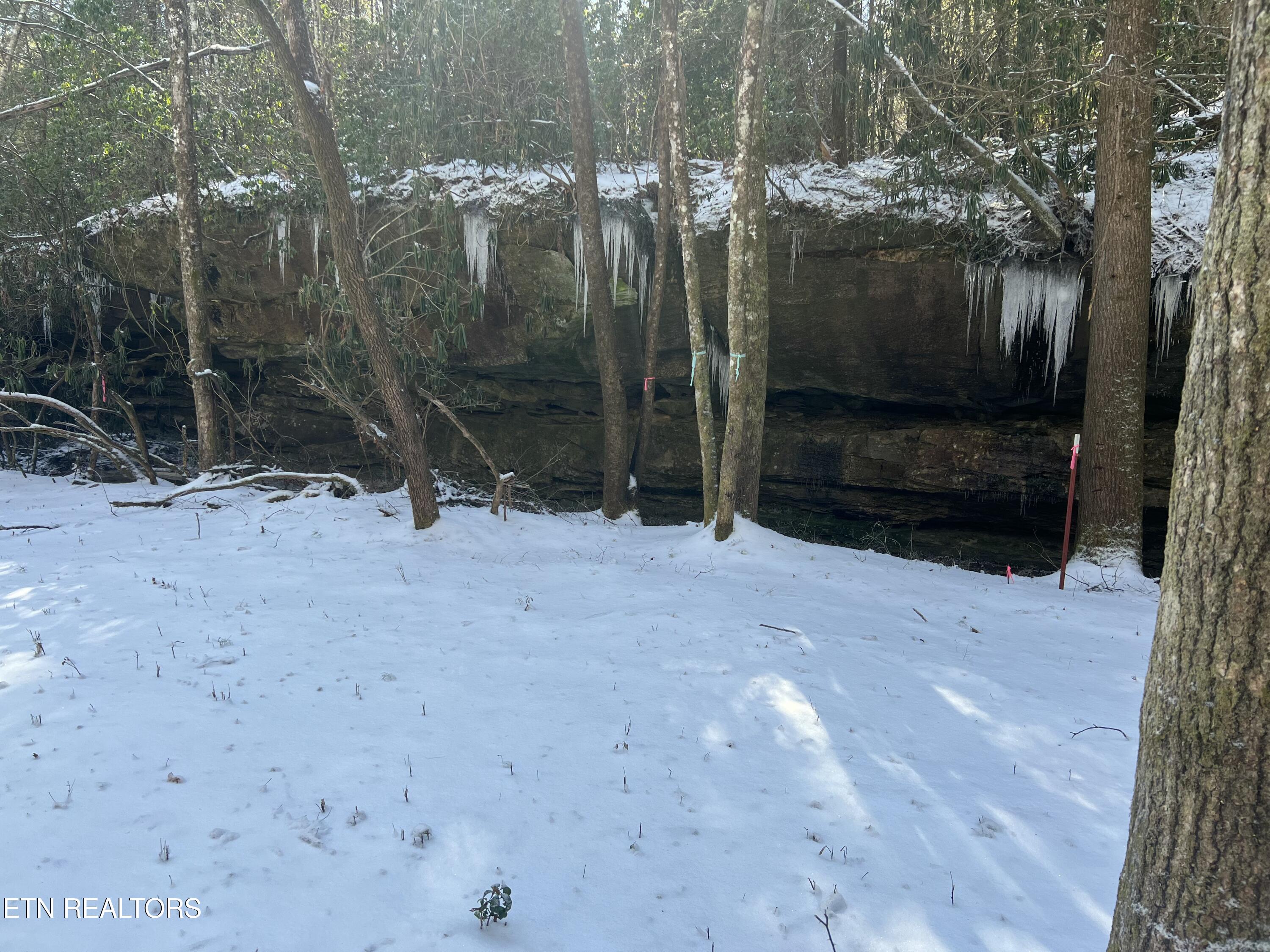 218 Lonesome Pine Lane Jamestown TN 38556