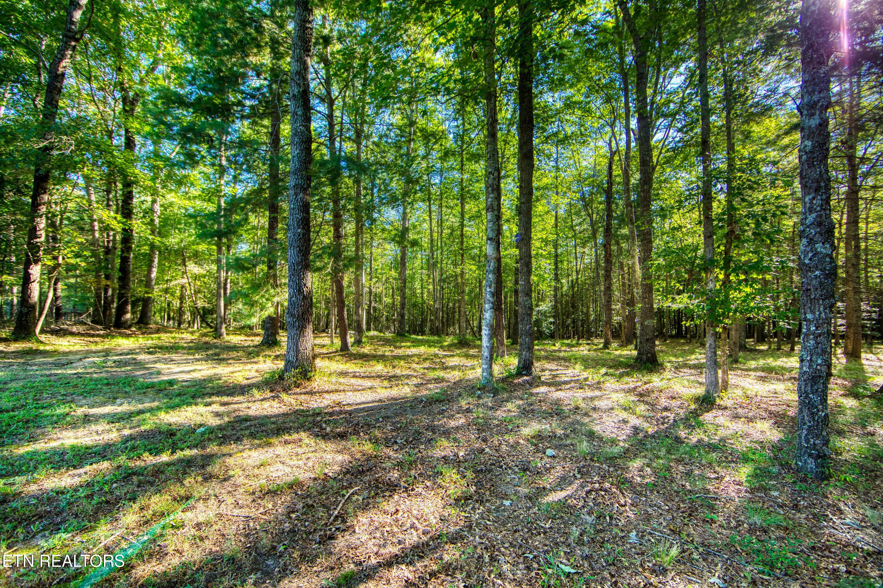 218 Lonesome Pine Lane Jamestown TN 38556