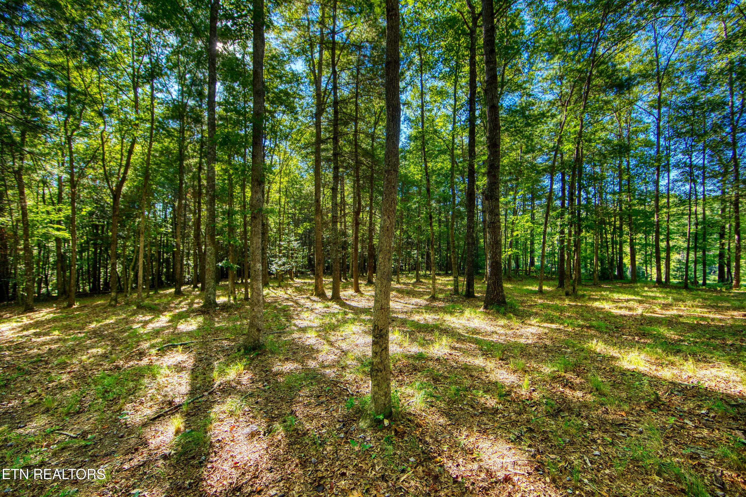 218 Lonesome Pine Lane Jamestown TN 38556