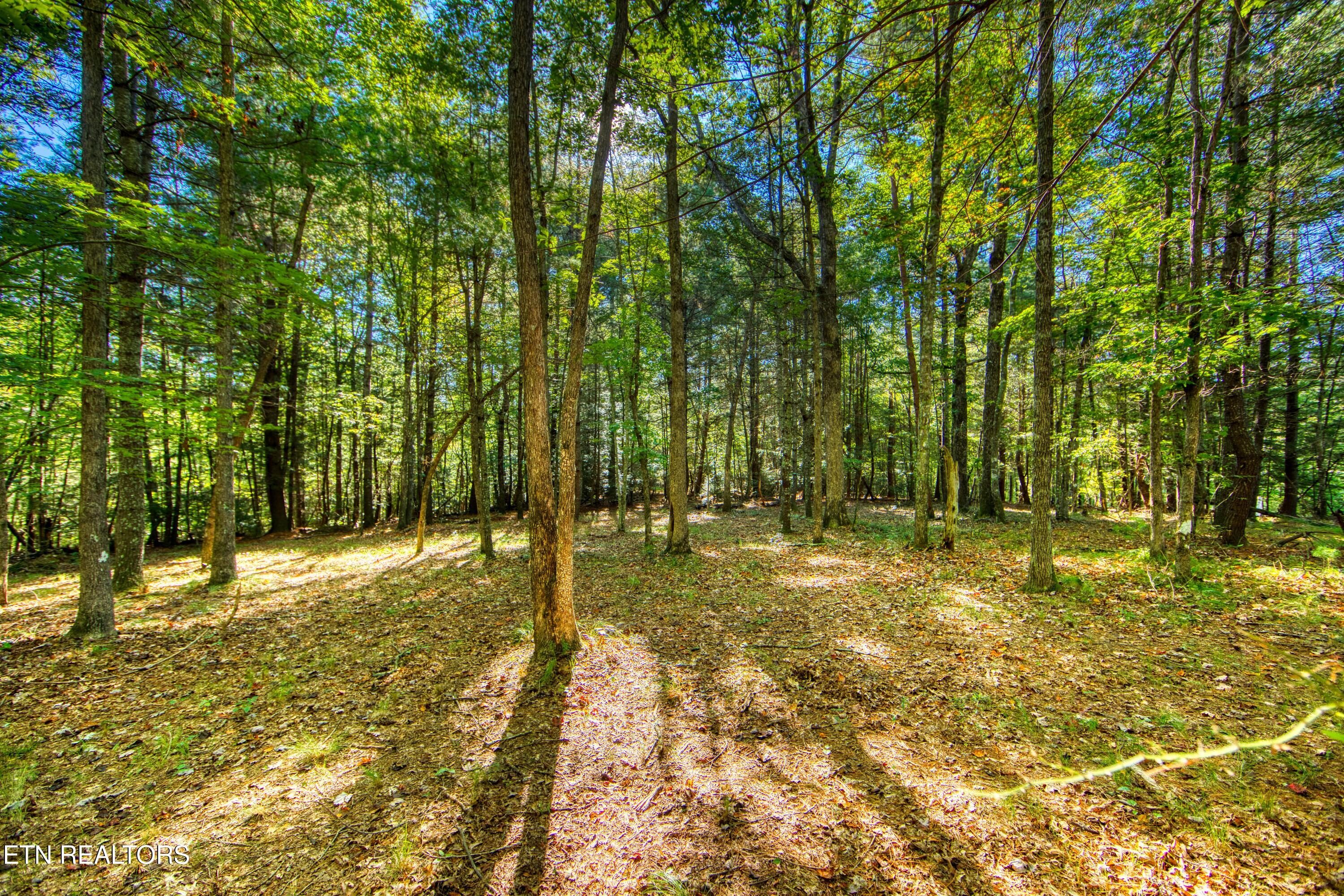 218 Lonesome Pine Lane Jamestown TN 38556