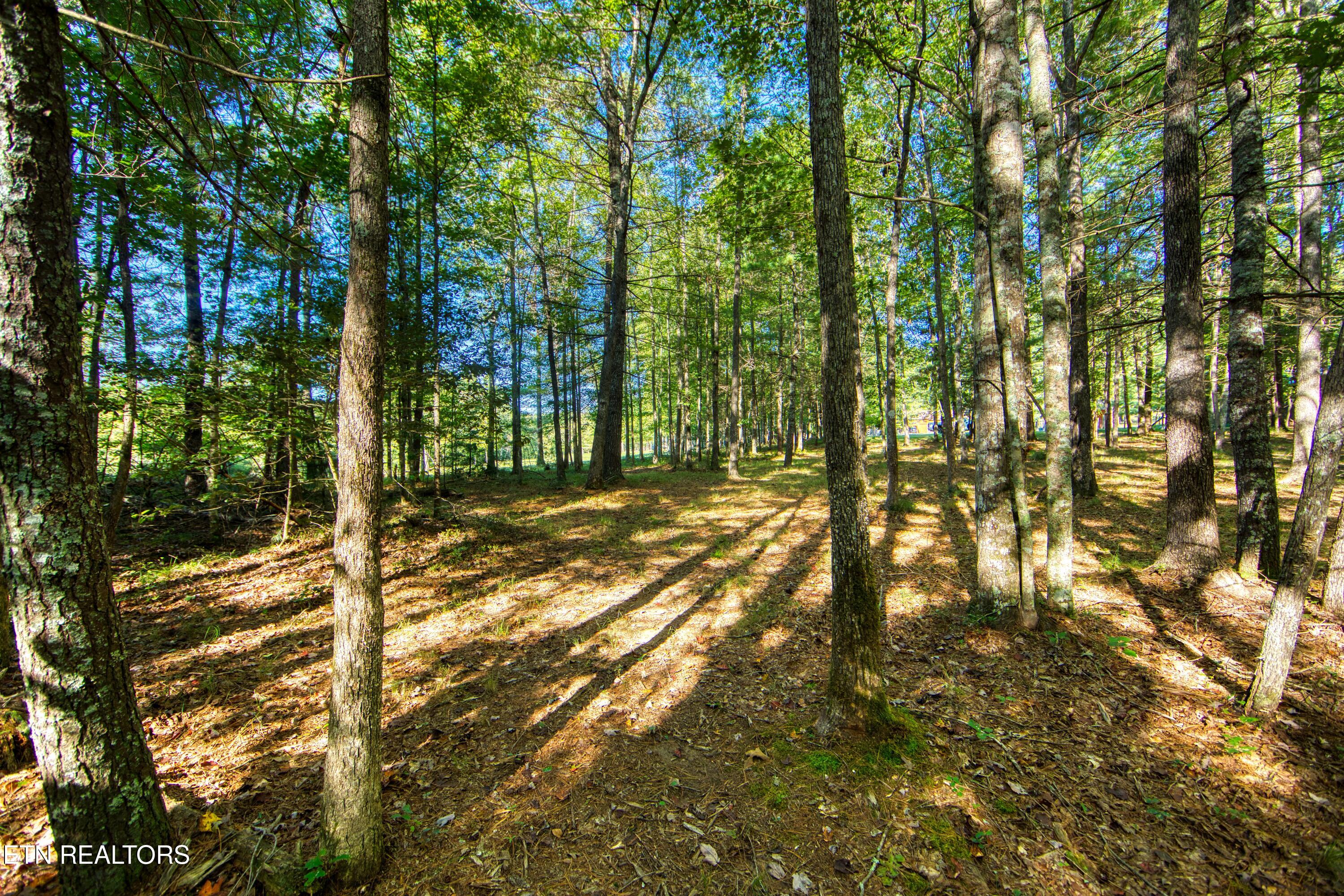 218 Lonesome Pine Lane Jamestown TN 38556