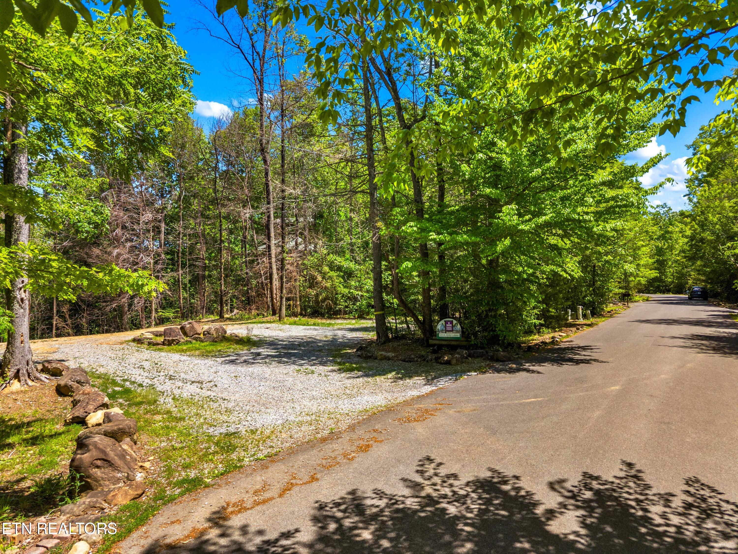 204 Amet Way Cosby TN 37722