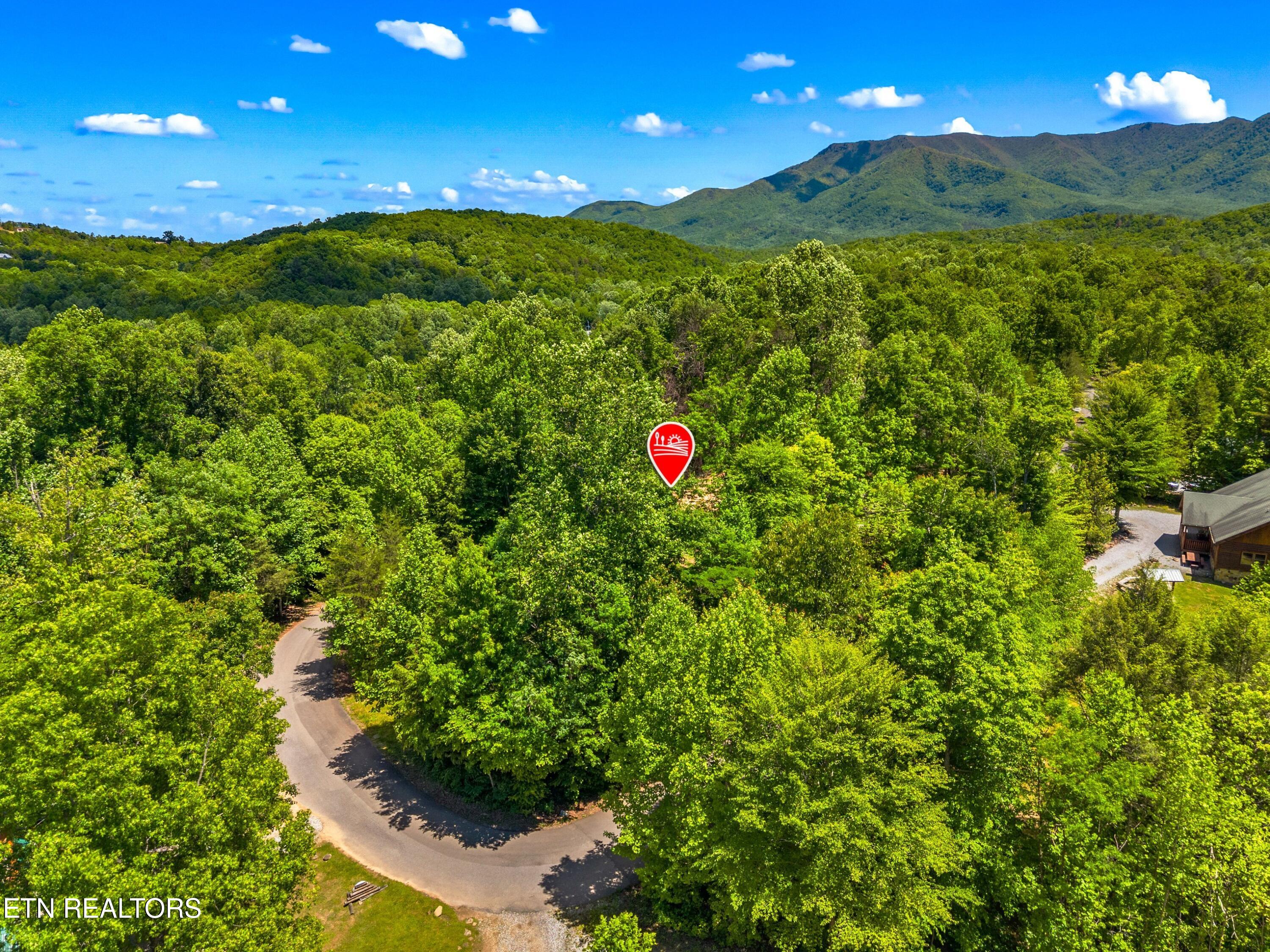 204 Amet Way Cosby TN 37722