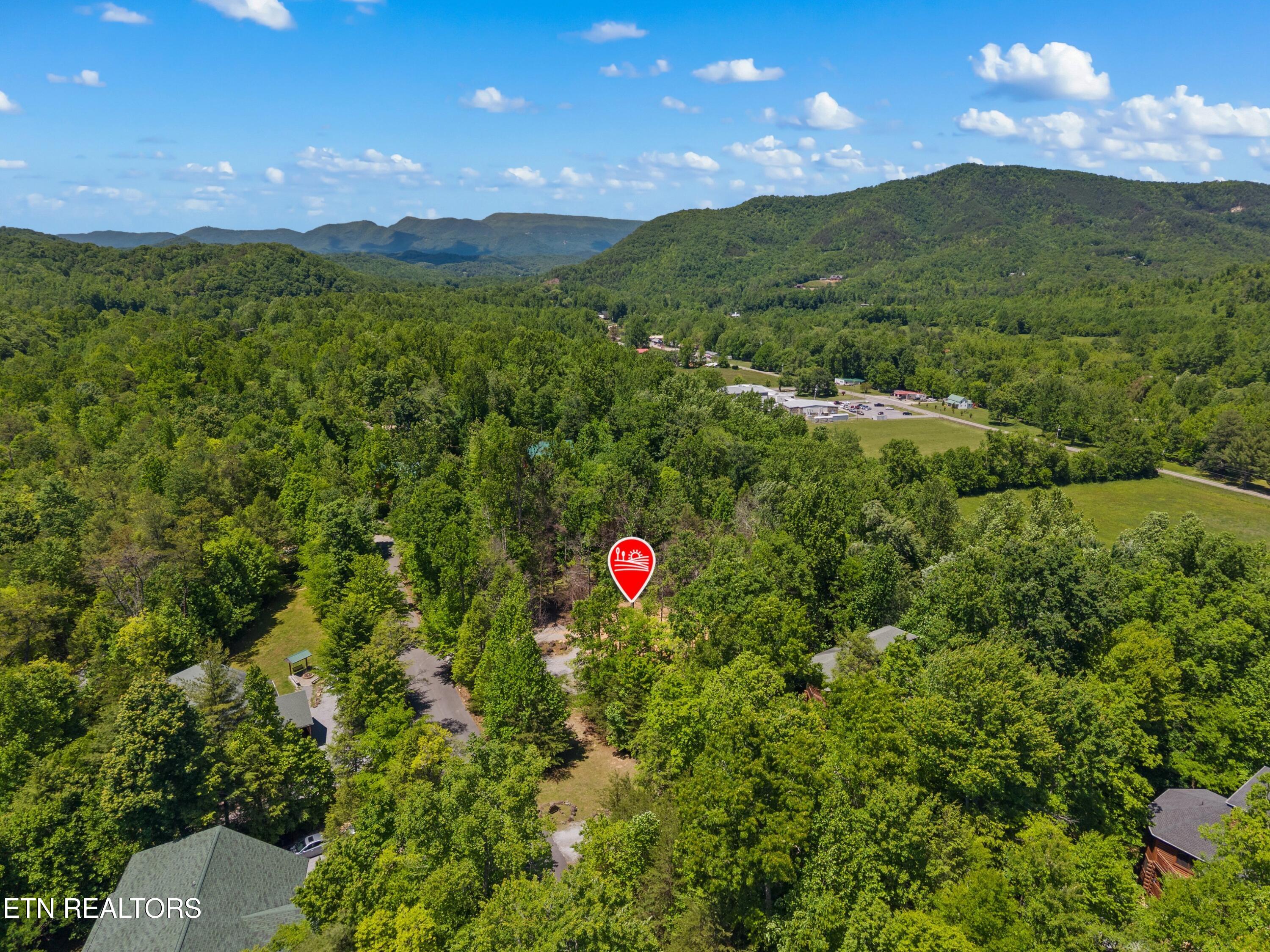 204 Amet Way Cosby TN 37722