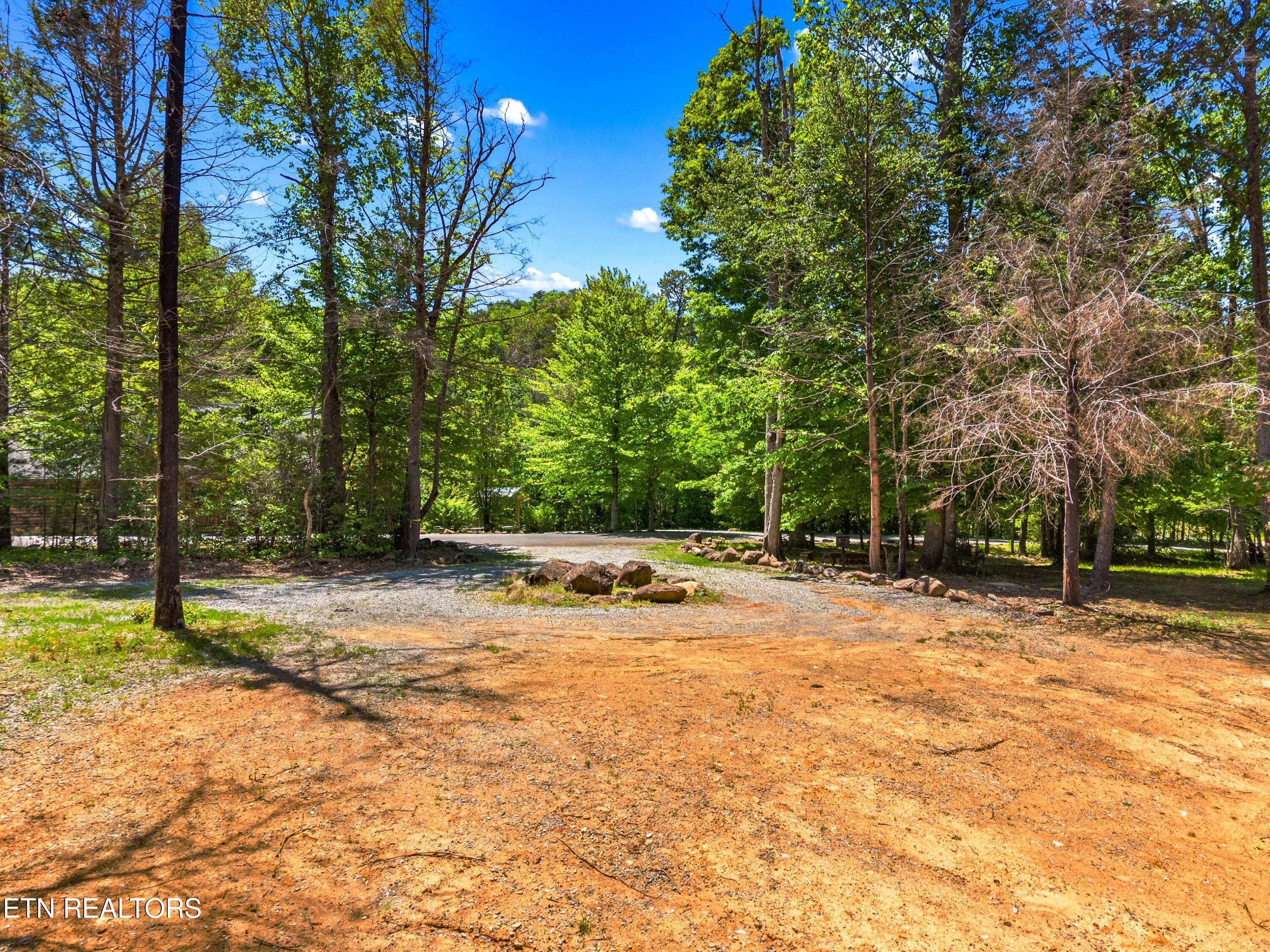 204 Amet Way Cosby TN 37722