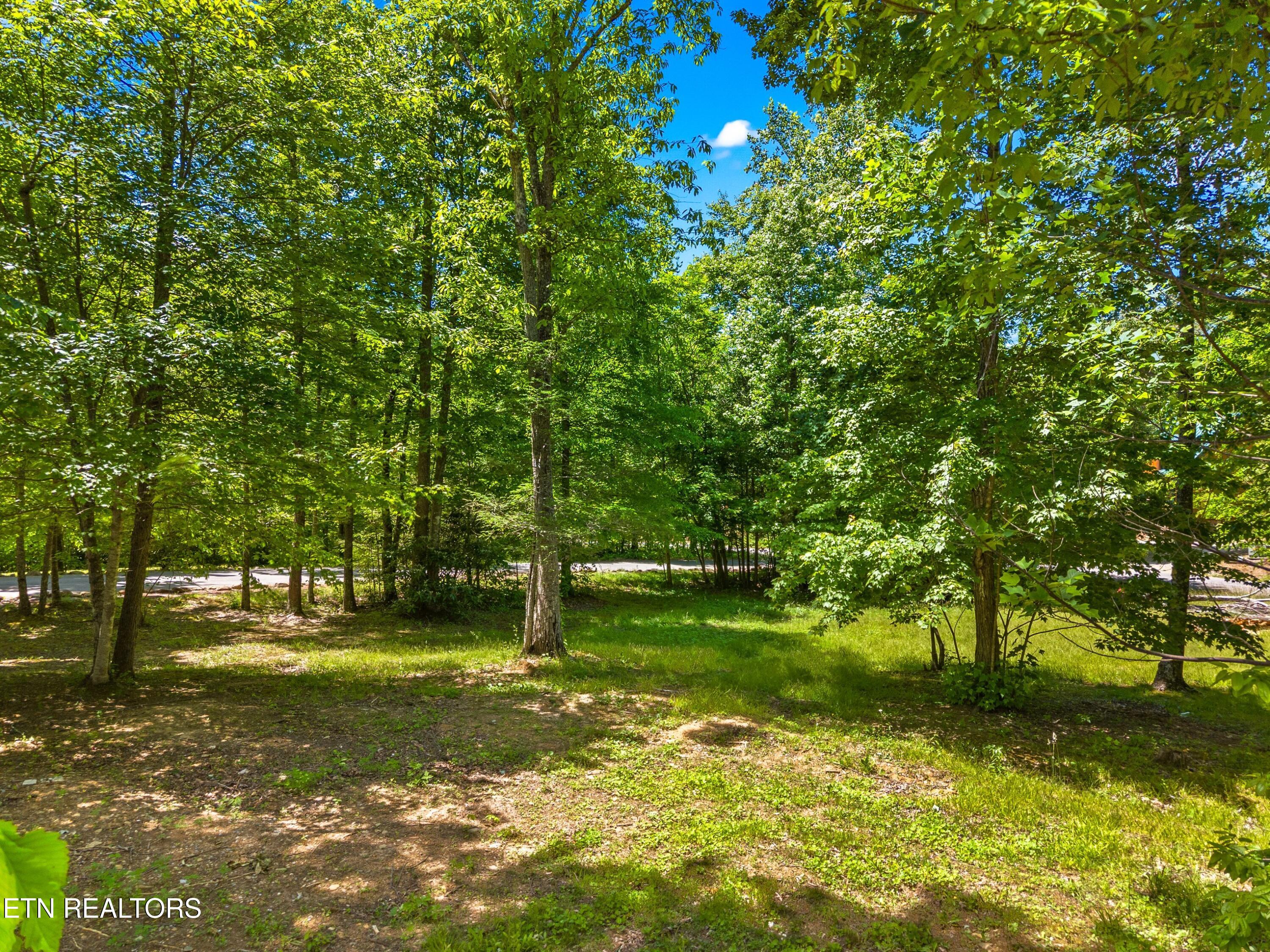 204 Amet Way Cosby TN 37722