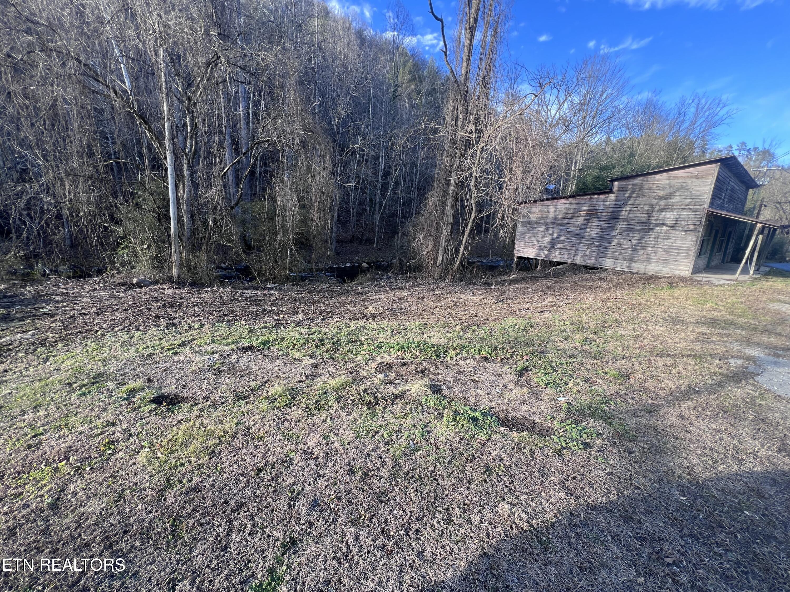 Blue Mill Road Del Rio TN 37727