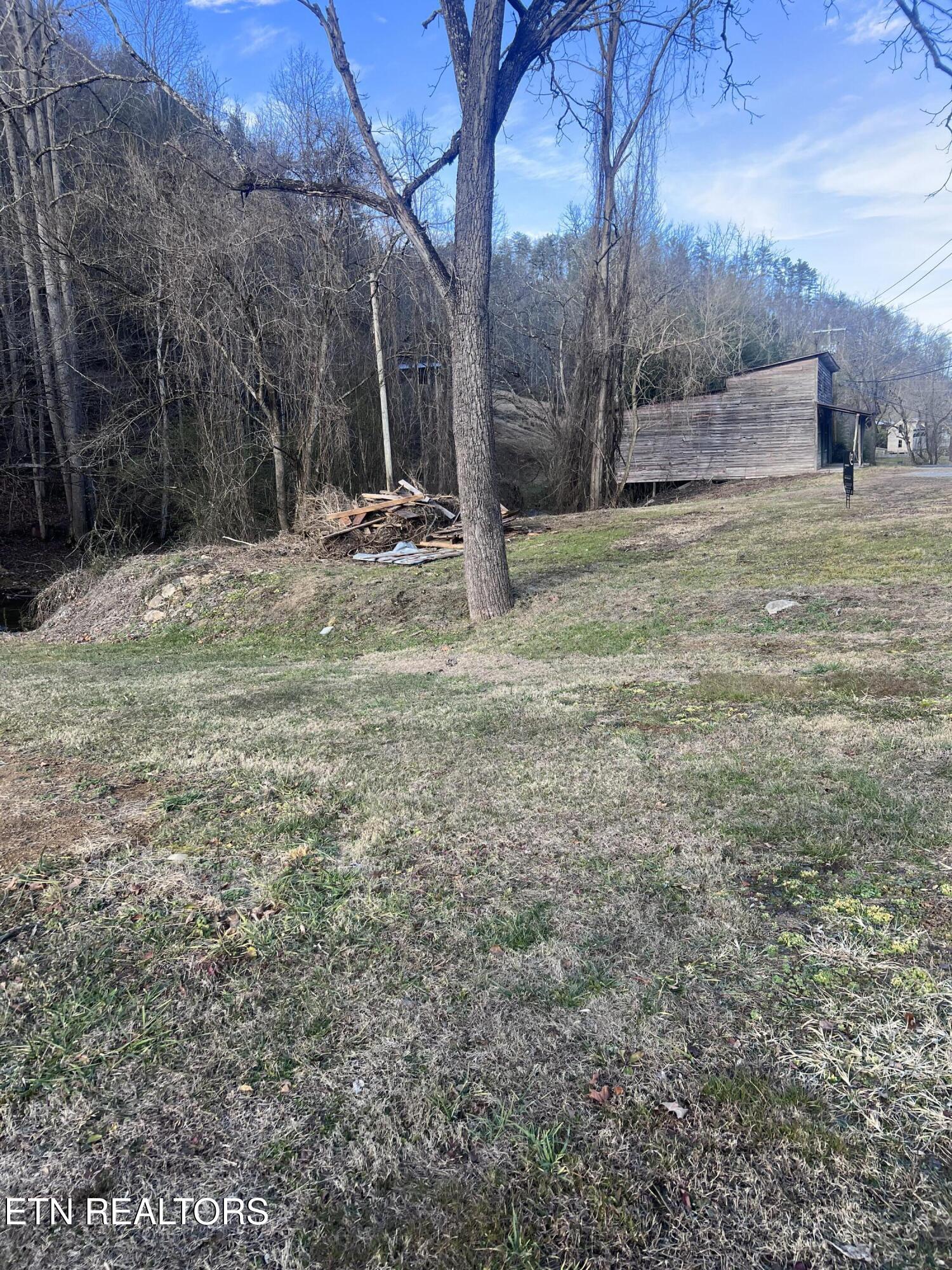Blue Mill Road Del Rio TN 37727