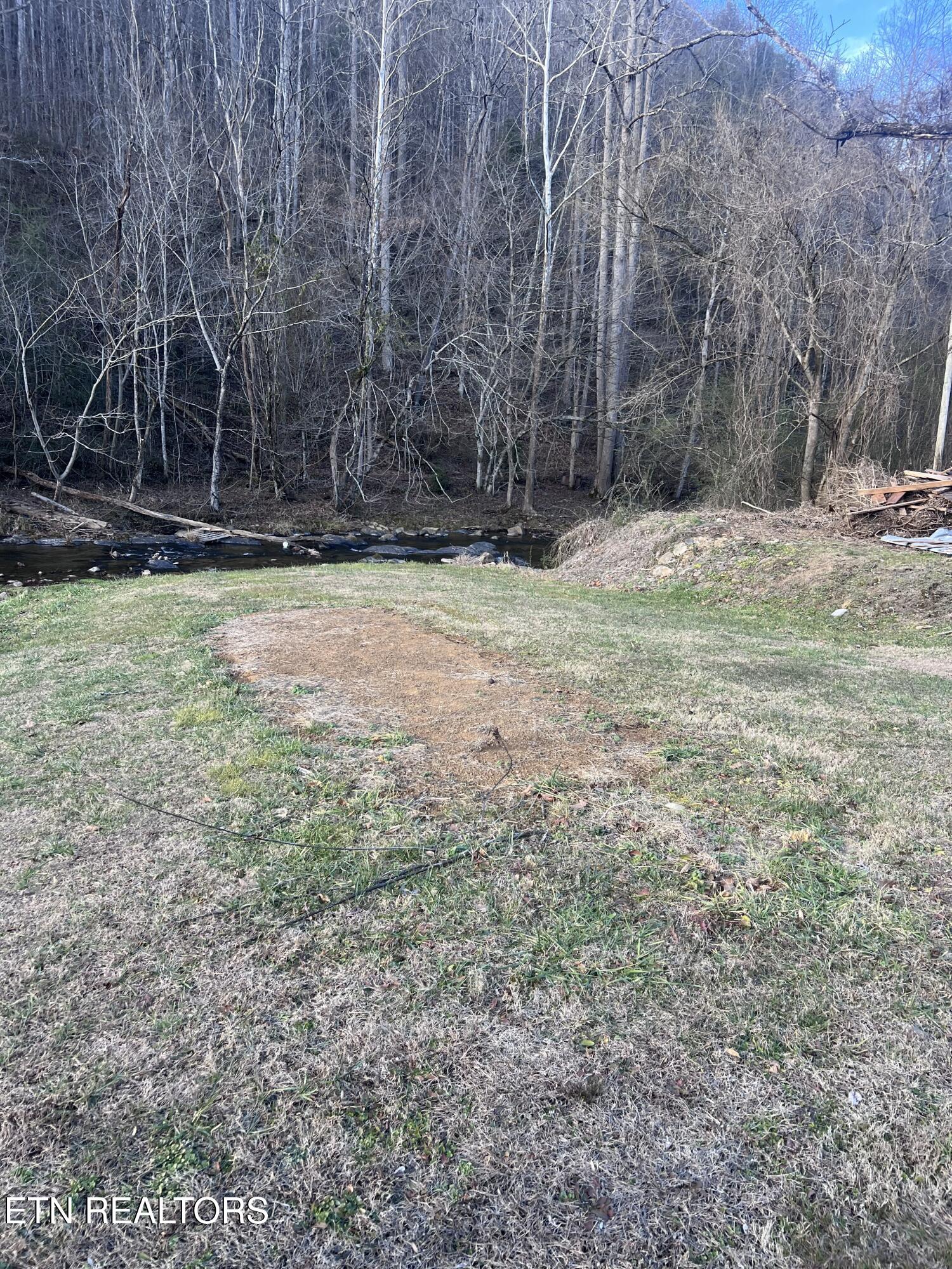 Blue Mill Road Del Rio TN 37727