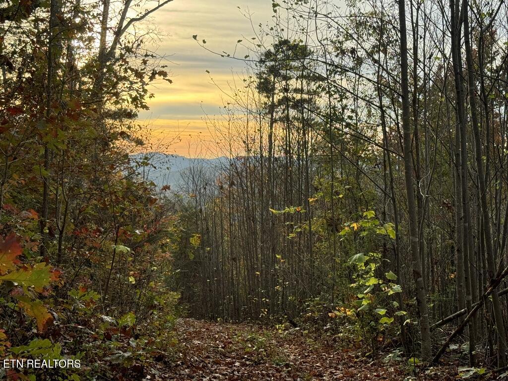 Three Point - Tract 3 Road Vonore TN 37885