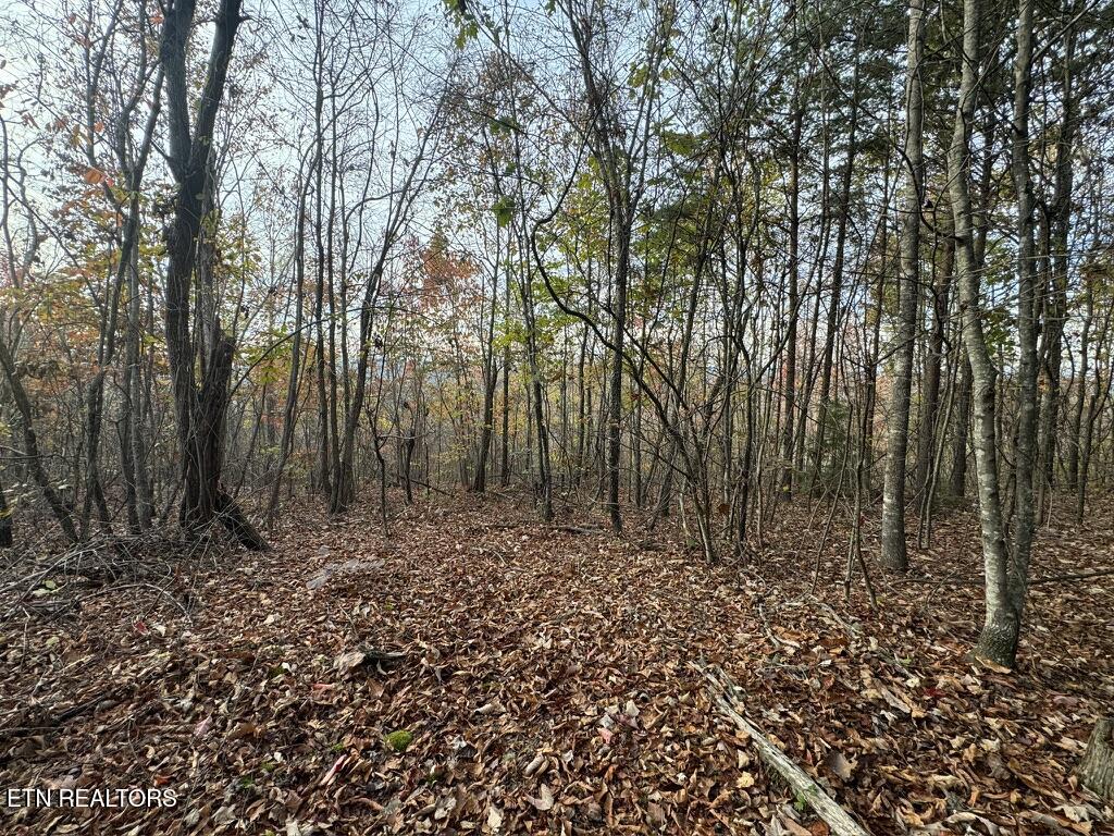 Three Point - Tract 3 Road Vonore TN 37885