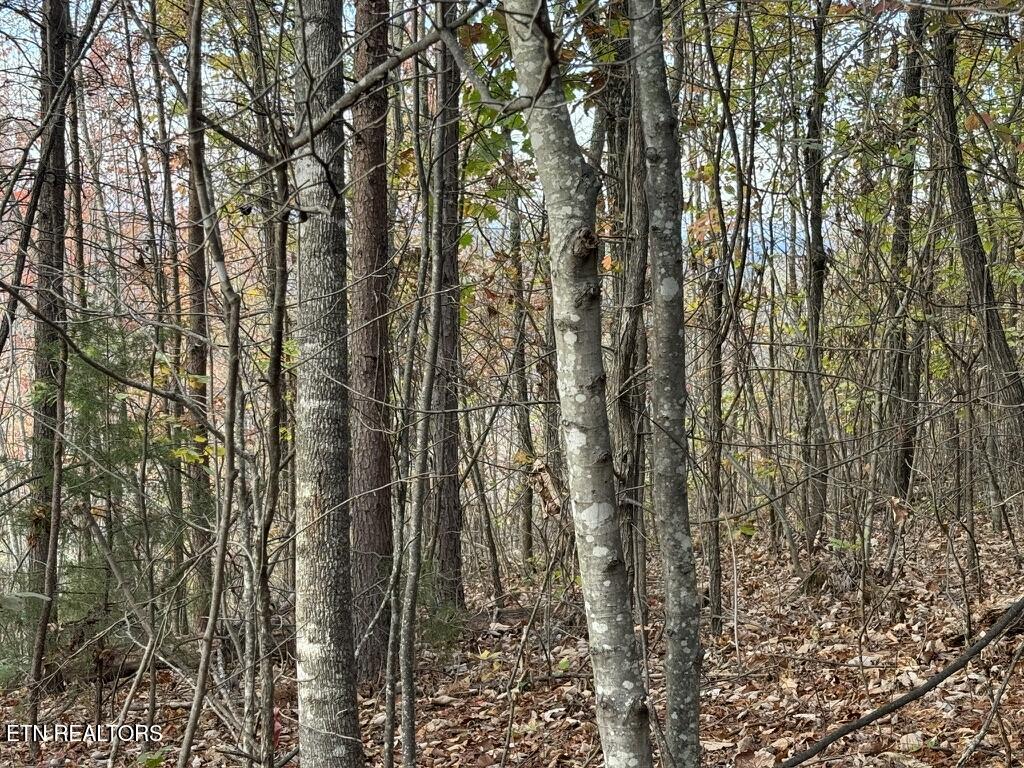 Three Point - Tract 3 Road Vonore TN 37885
