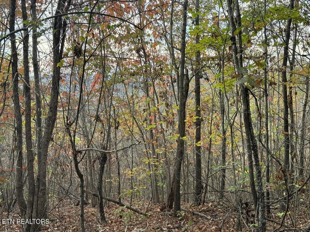 Three Point - Tract 3 Road Vonore TN 37885
