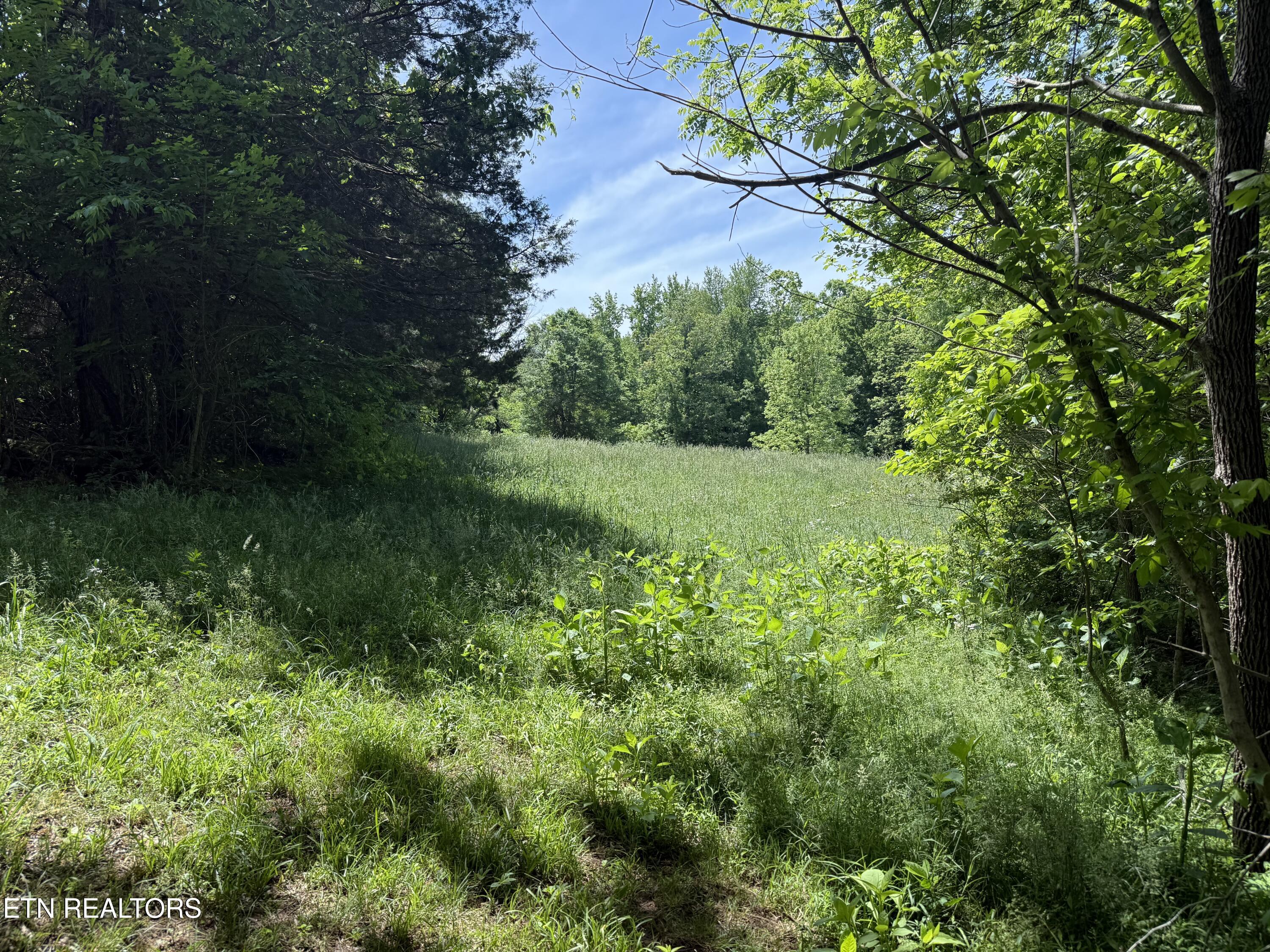 335 Nelson Cemetery Road Monroe TN 38573