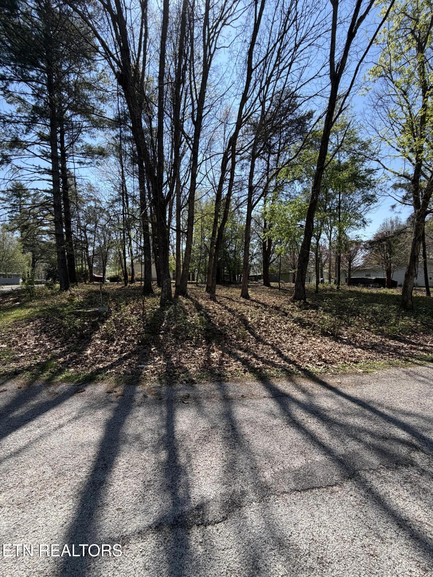 319 Dartmoor Drive Crossville TN 38558