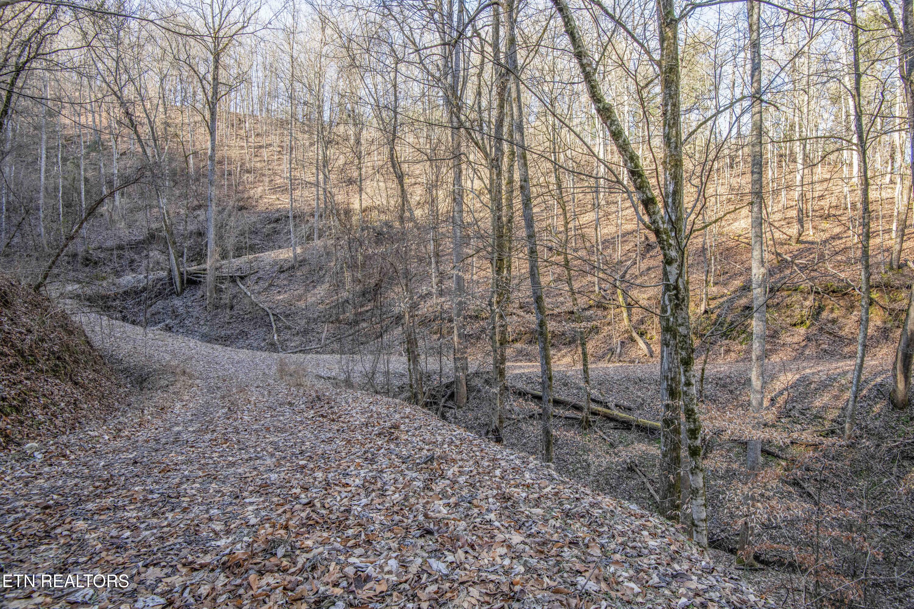 2474 Dove View Road Sevierville TN 37862