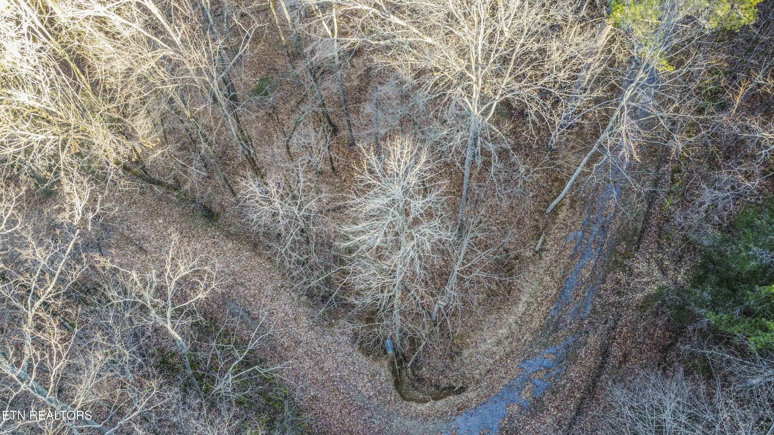 2474 Dove View Road Sevierville TN 37862