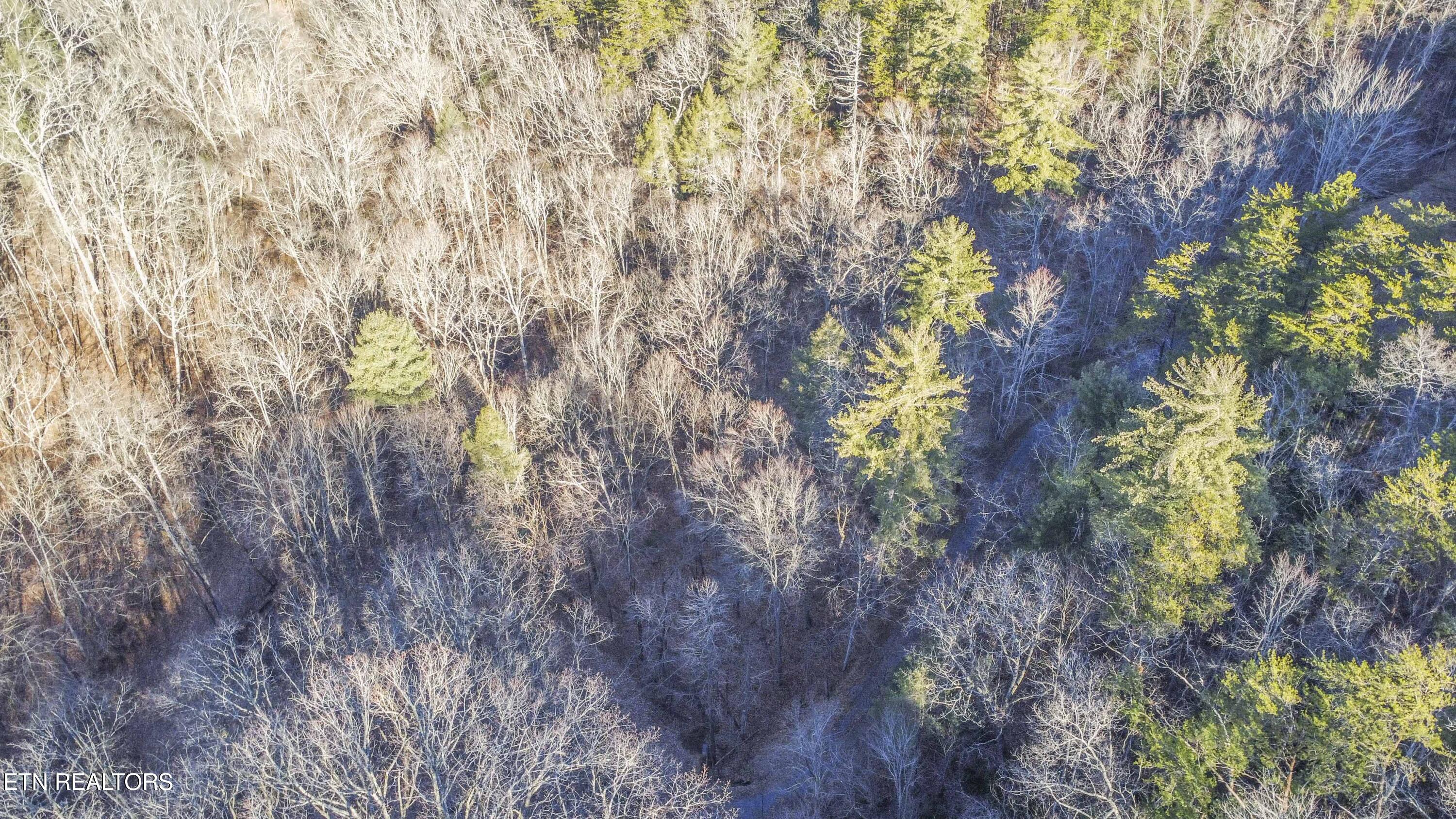 2474 Dove View Road Sevierville TN 37862