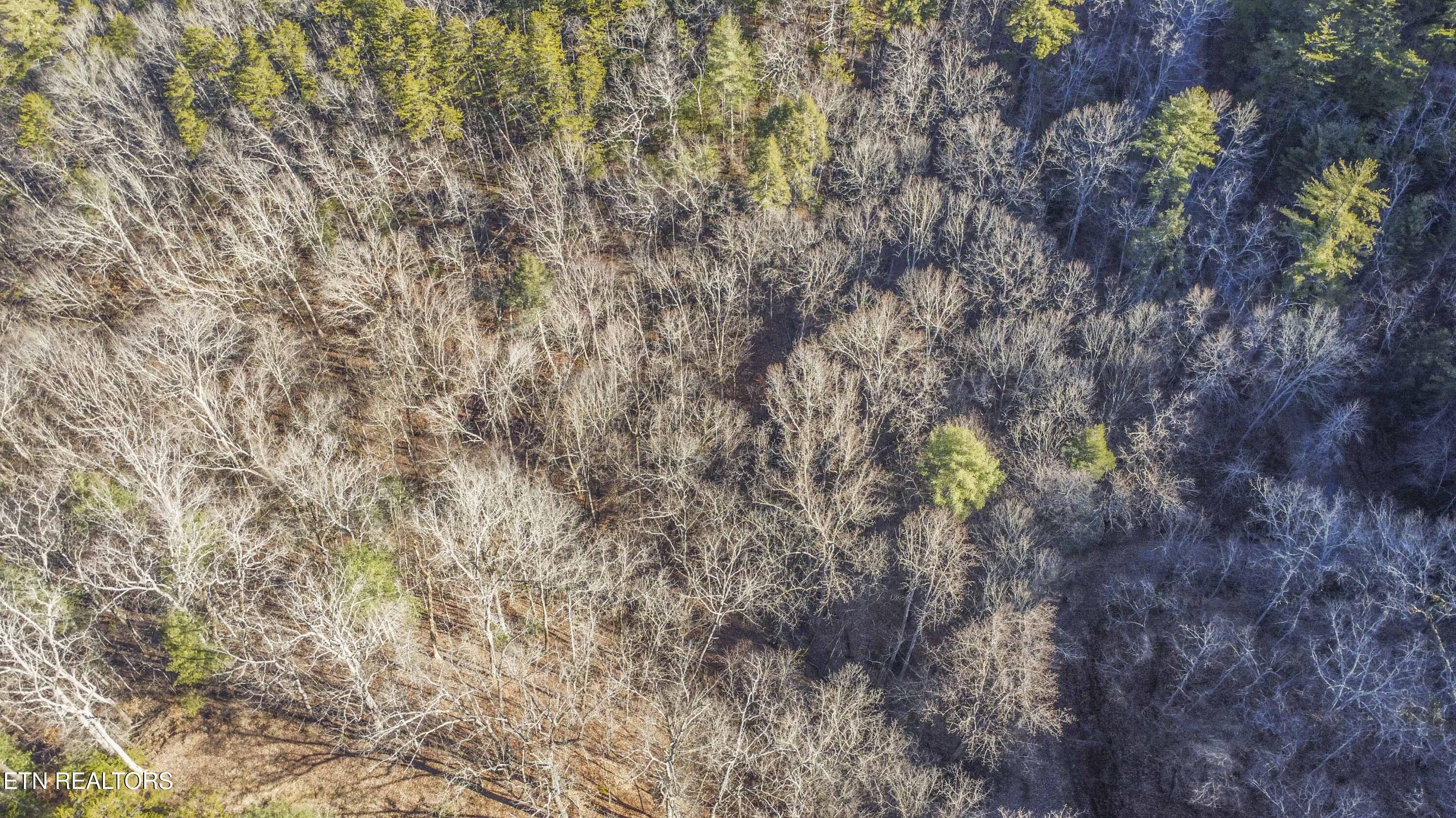 2474 Dove View Road Sevierville TN 37862
