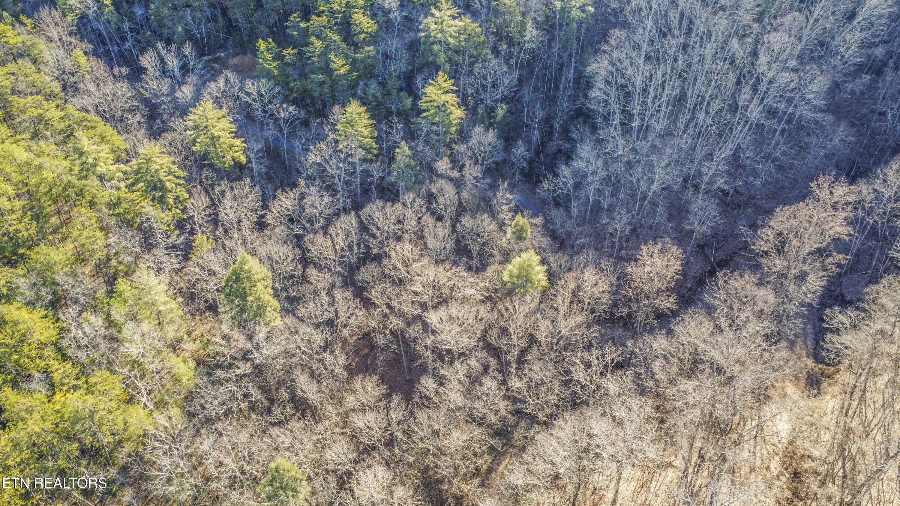2474 Dove View Road Sevierville TN 37862