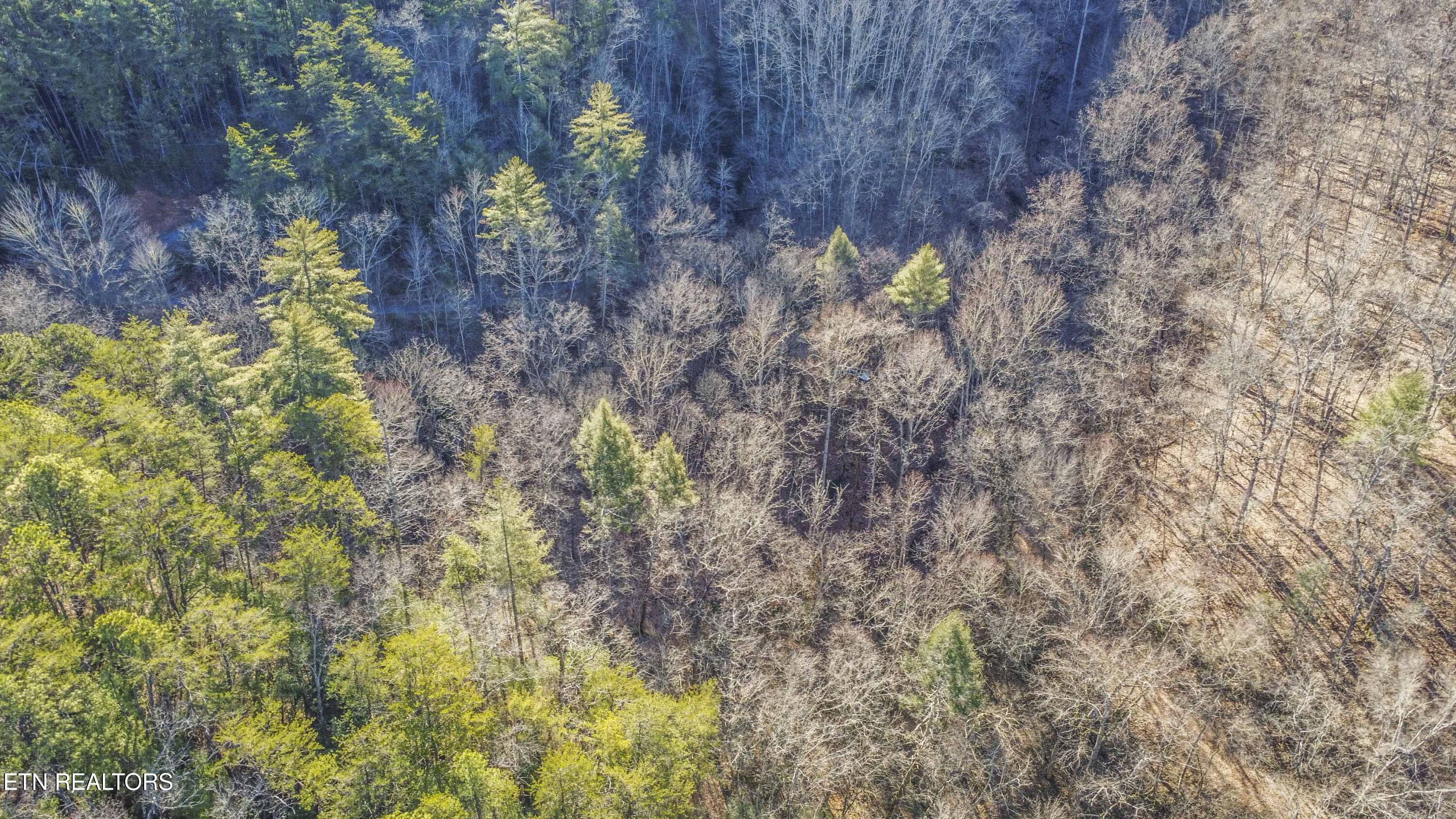2474 Dove View Road Sevierville TN 37862