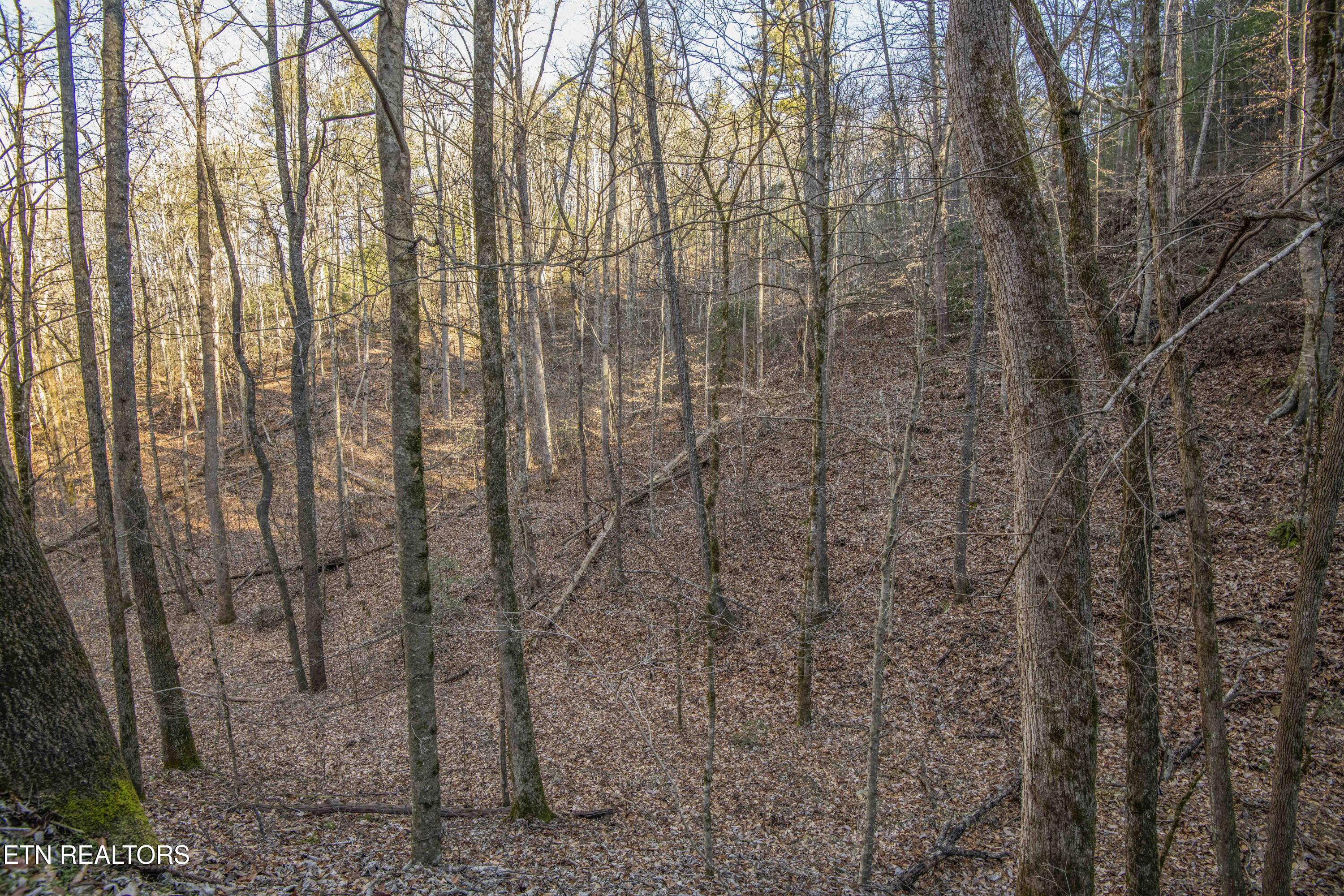 2474 Dove View Road Sevierville TN 37862
