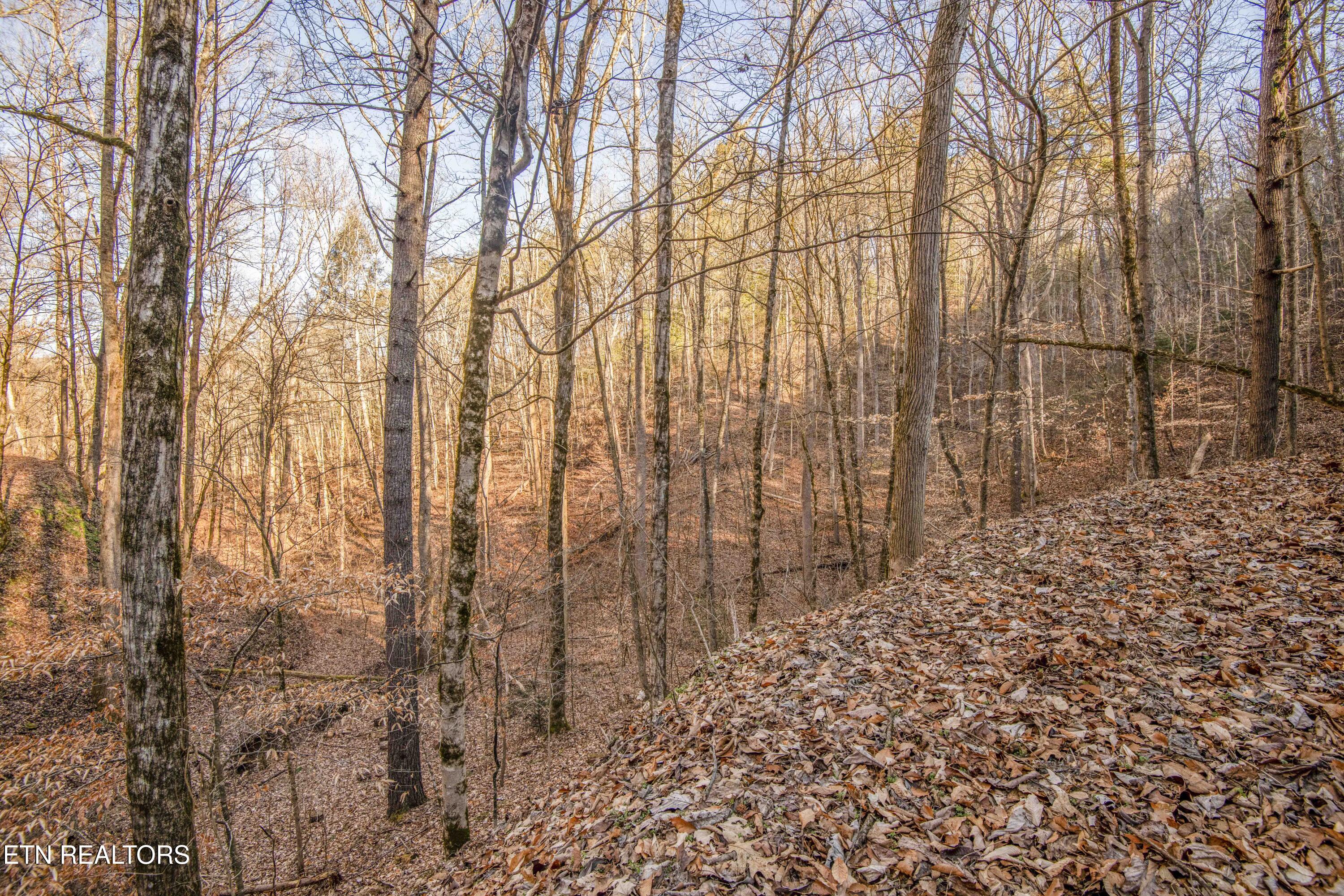 2474 Dove View Road Sevierville TN 37862