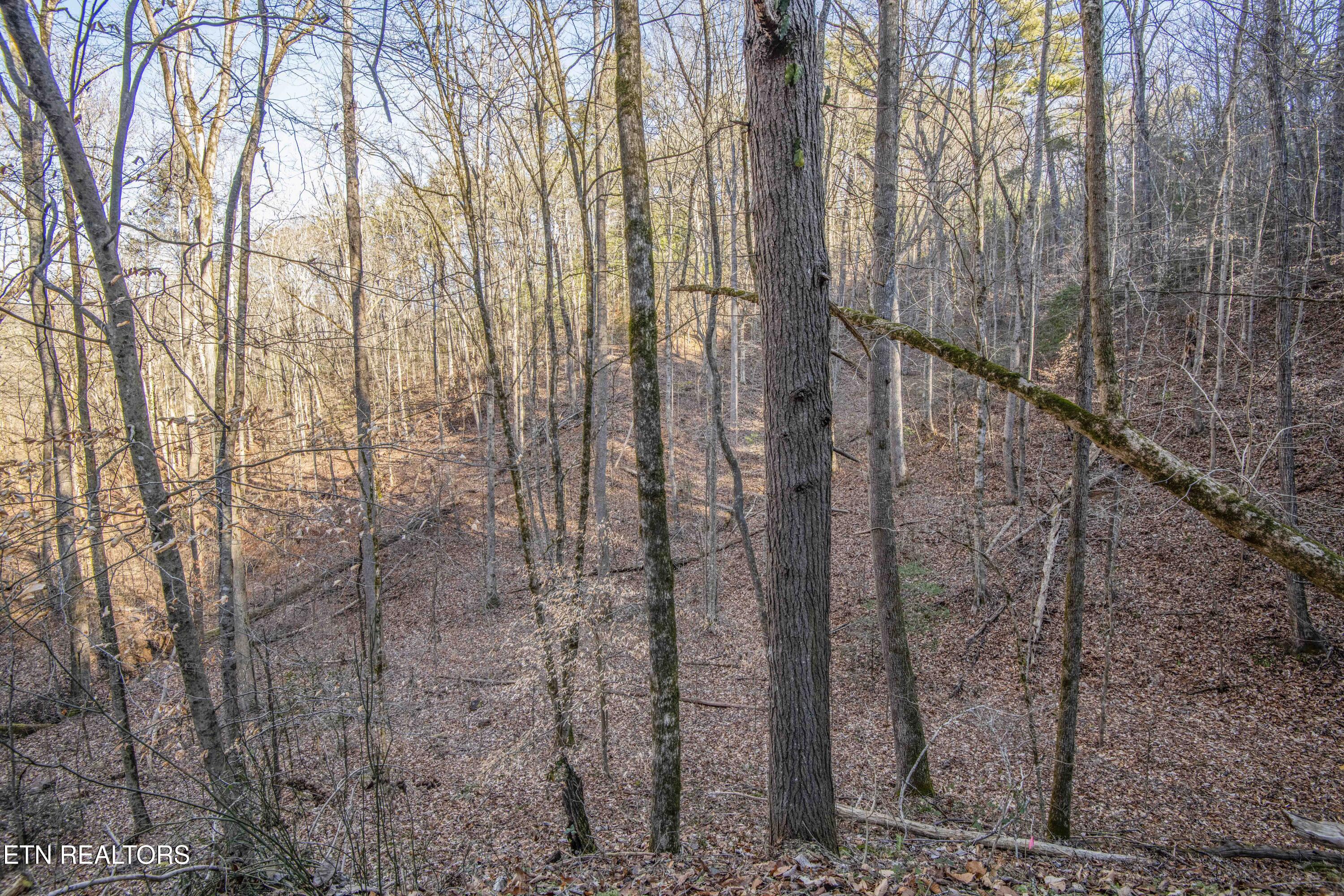 2474 Dove View Road Sevierville TN 37862