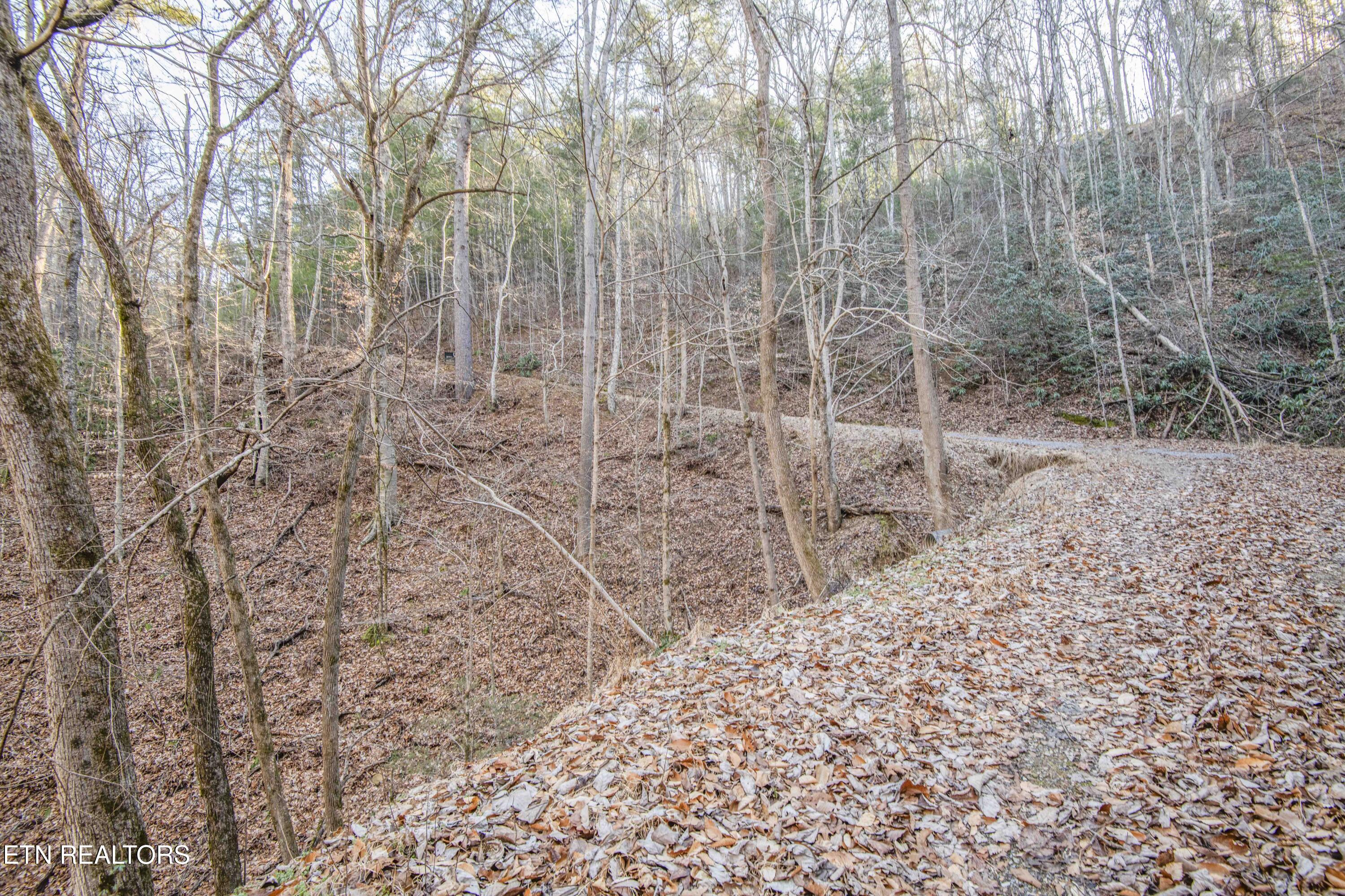 2474 Dove View Road Sevierville TN 37862