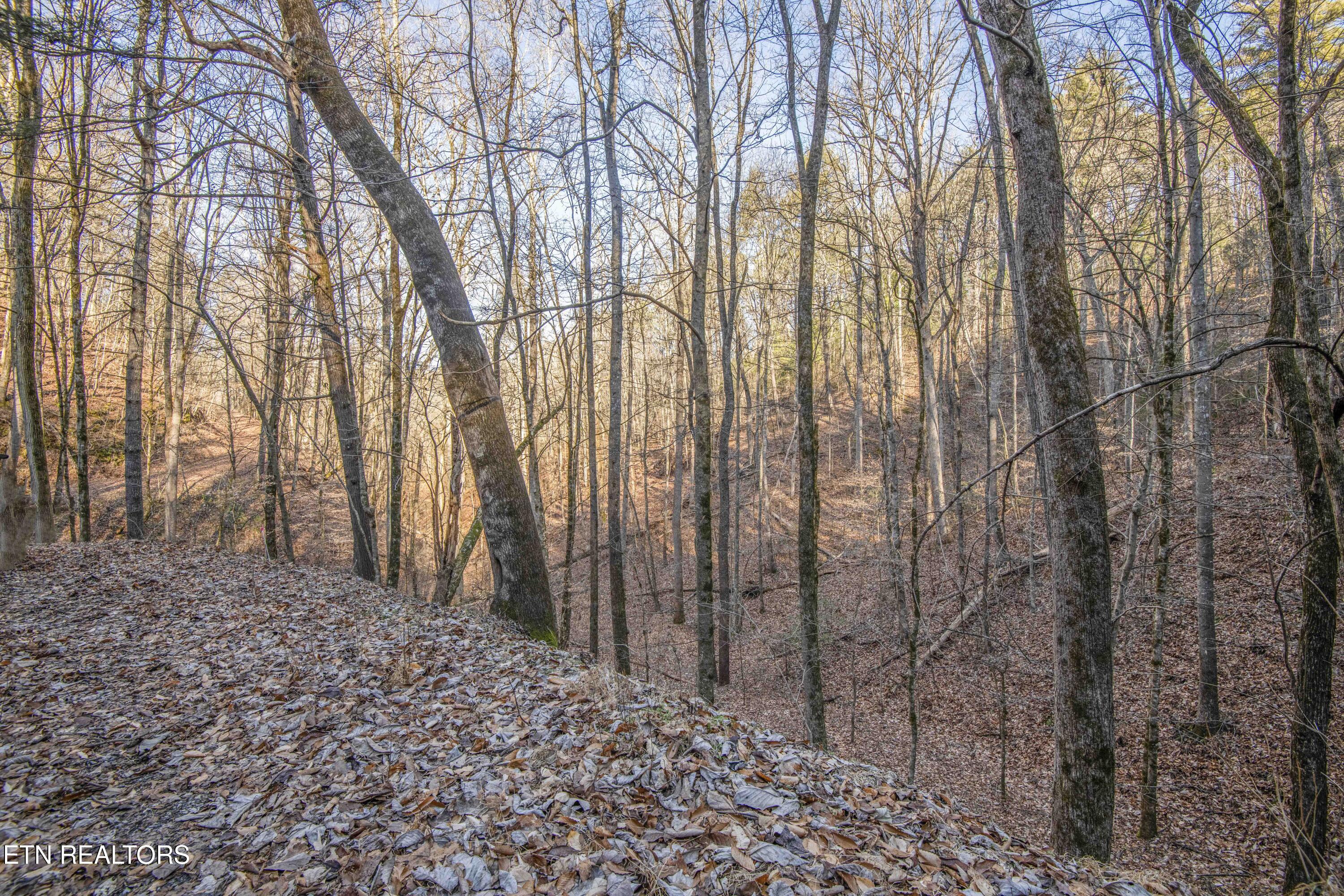 2474 Dove View Road Sevierville TN 37862