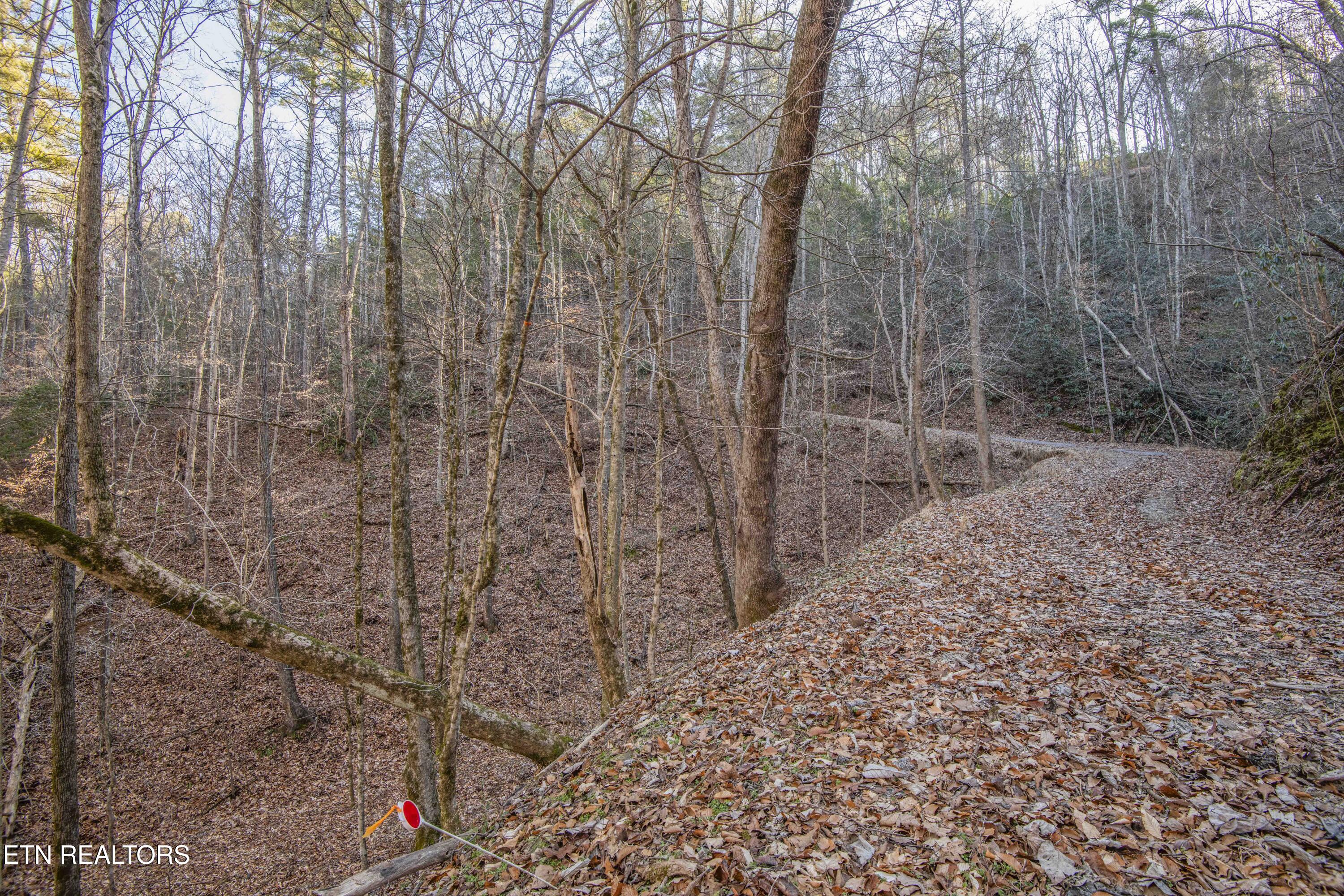 2474 Dove View Road Sevierville TN 37862