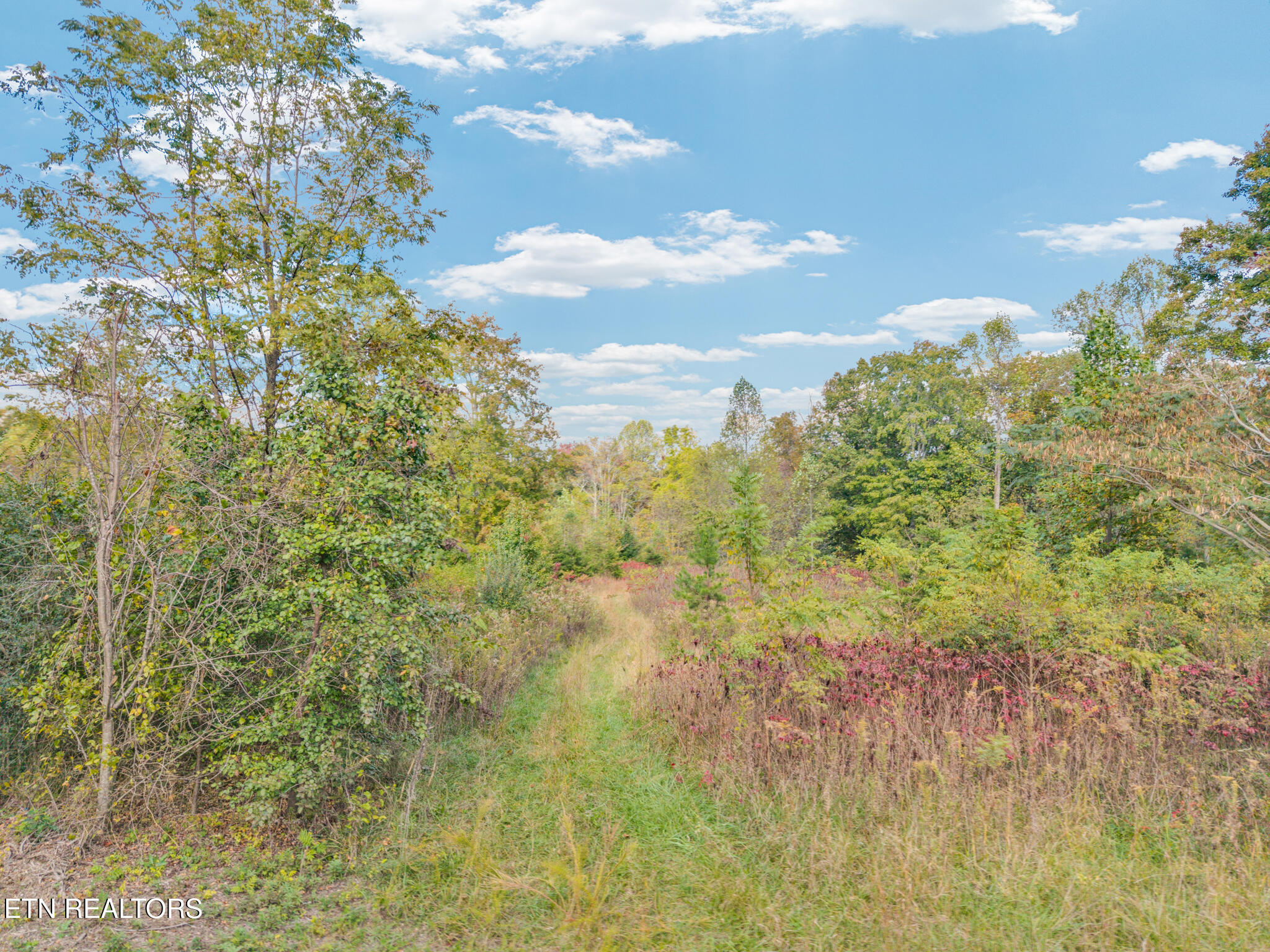 202 Sells Cemetery Road Wilder TN 38589