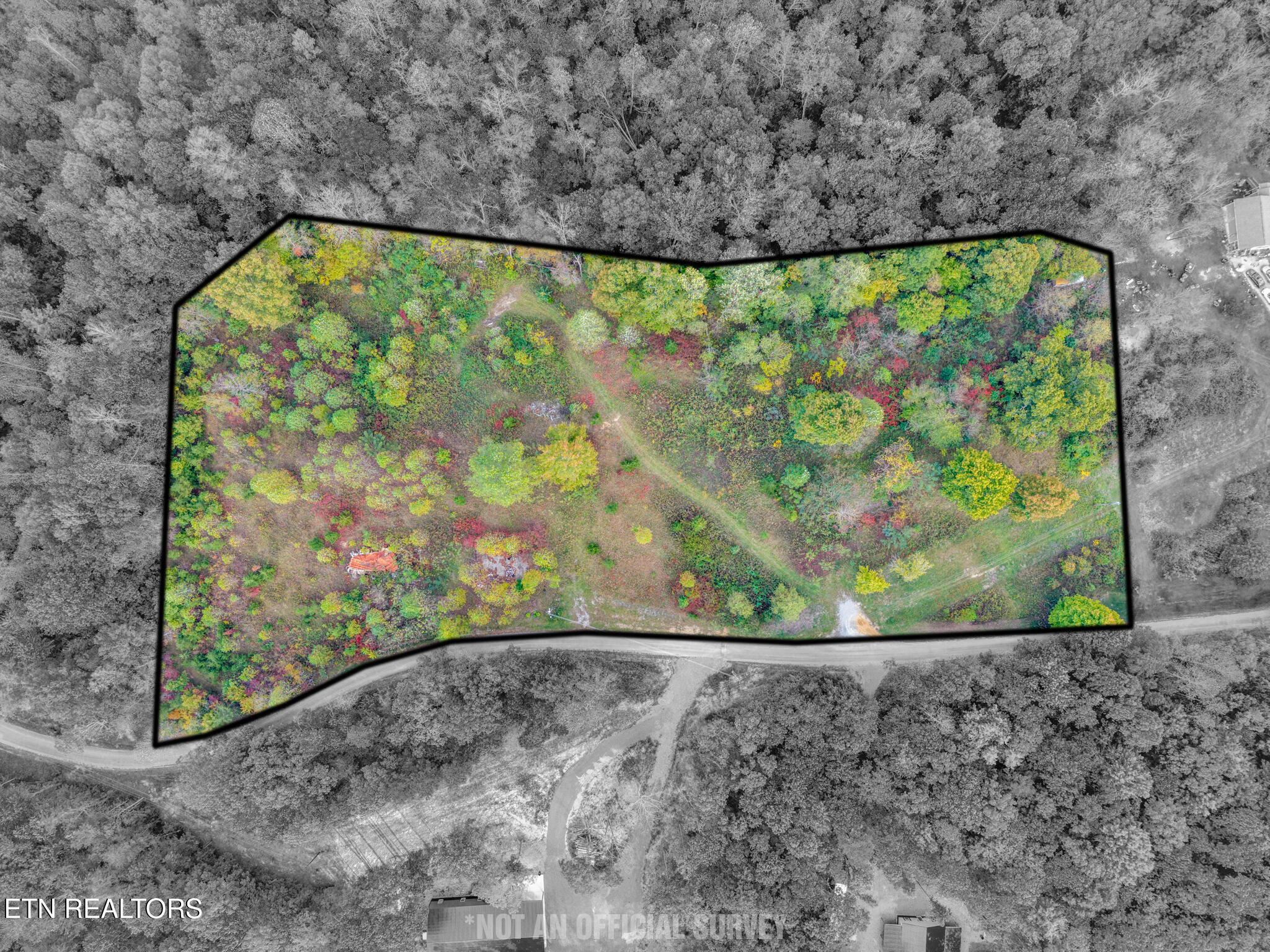 202 Sells Cemetery Road Wilder TN 38589