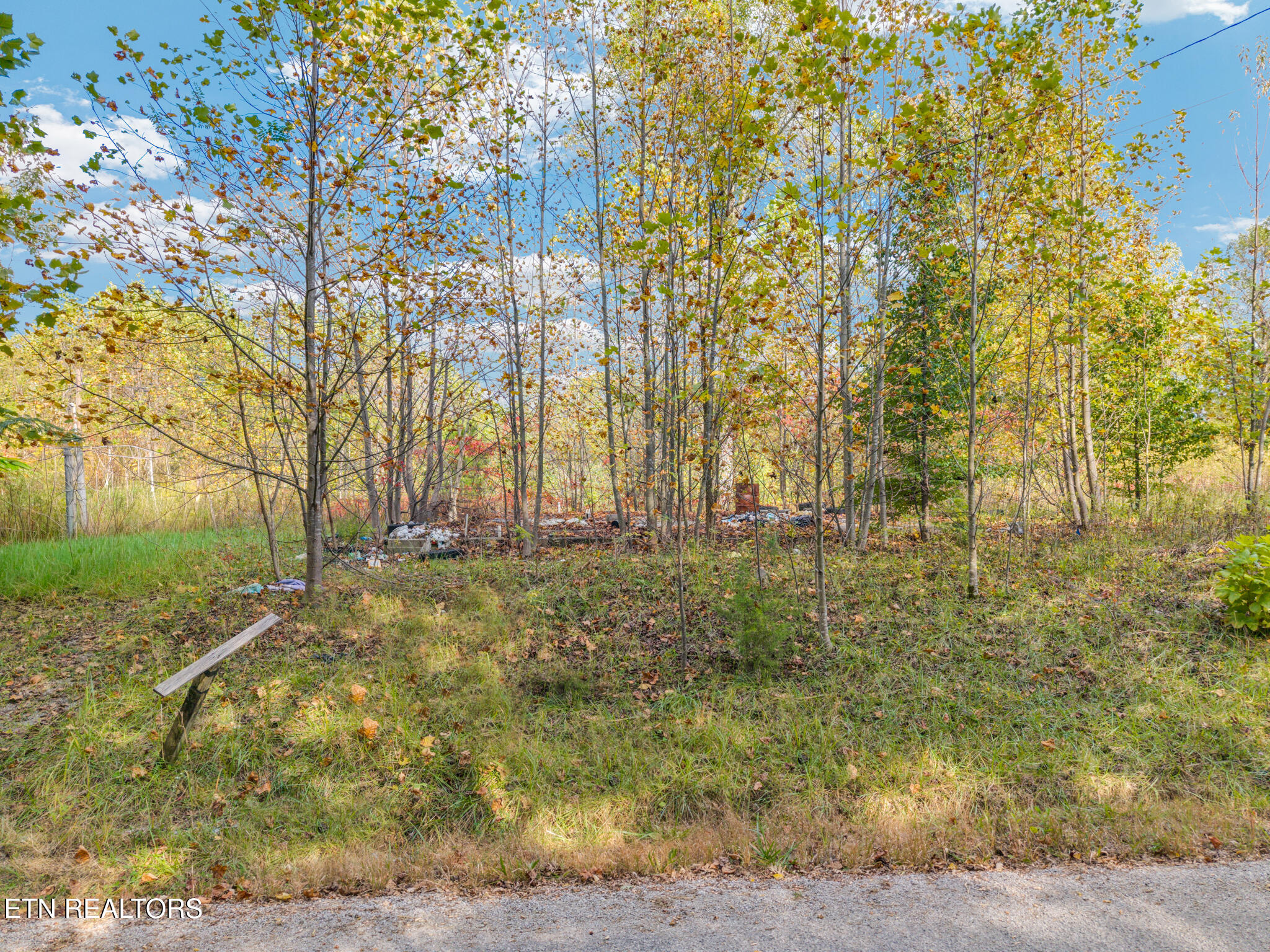 202 Sells Cemetery Road Wilder TN 38589