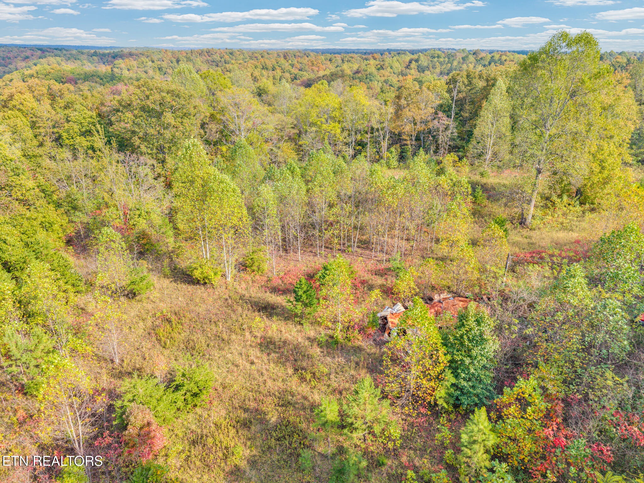 202 Sells Cemetery Road Wilder TN 38589