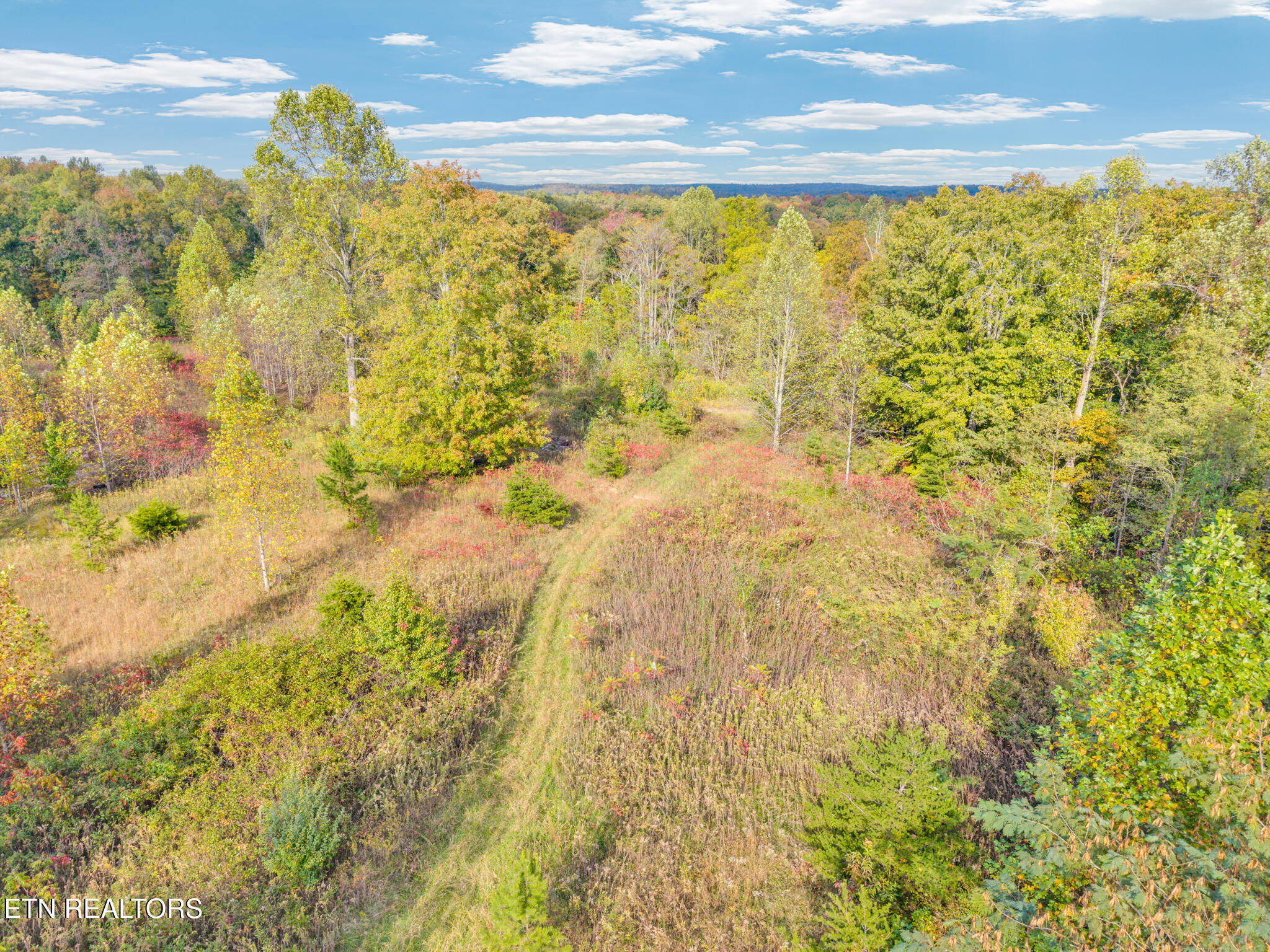 202 Sells Cemetery Road Wilder TN 38589
