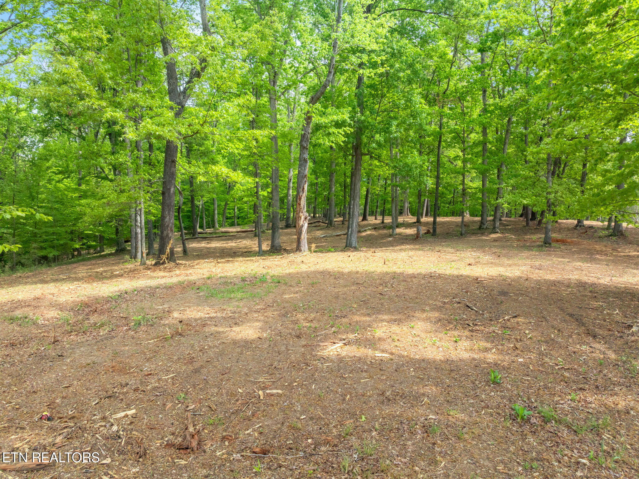 0 Highway 321 S Lenoir City TN 37772