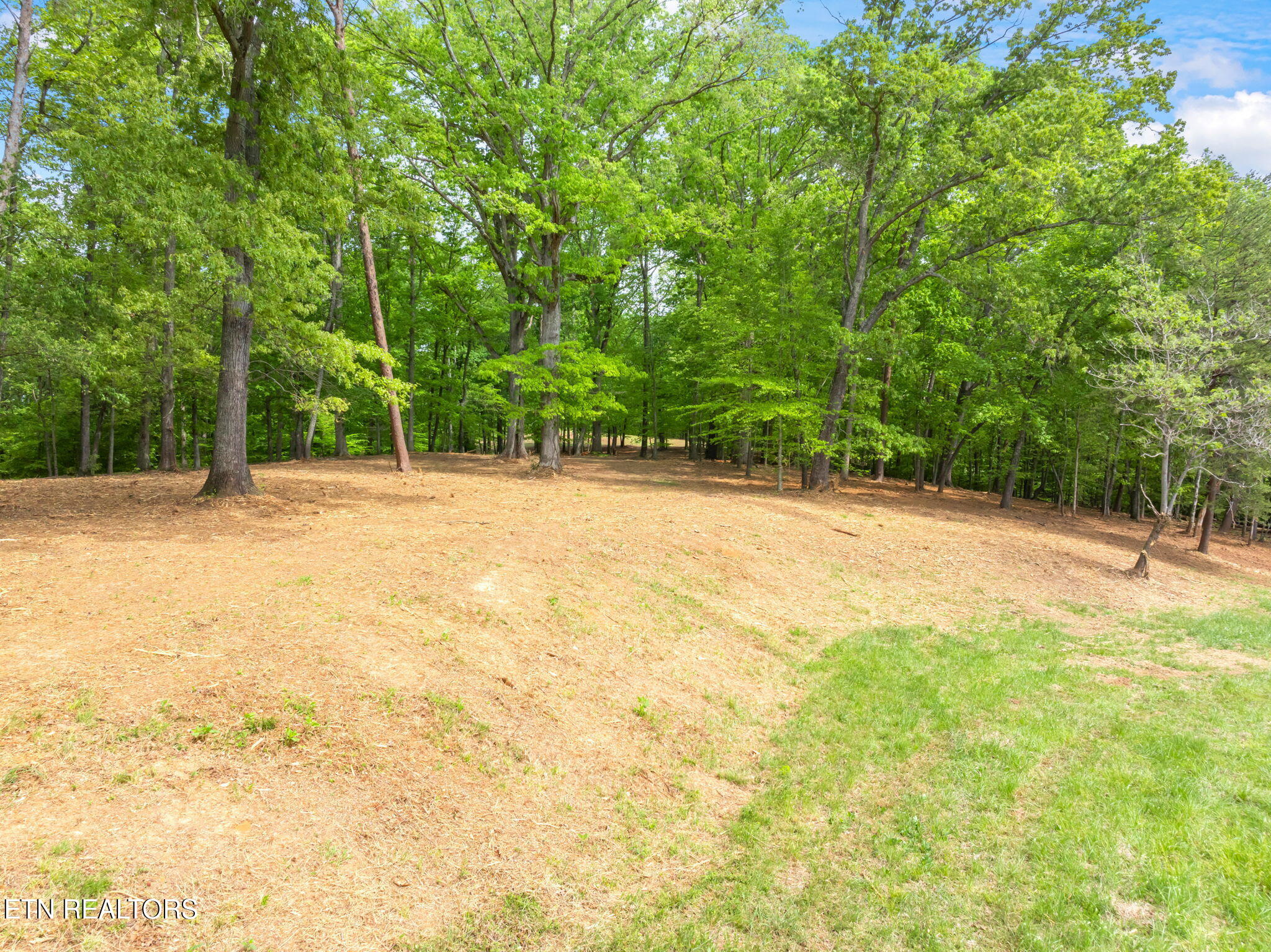 0 Highway 321 S Lenoir City TN 37772