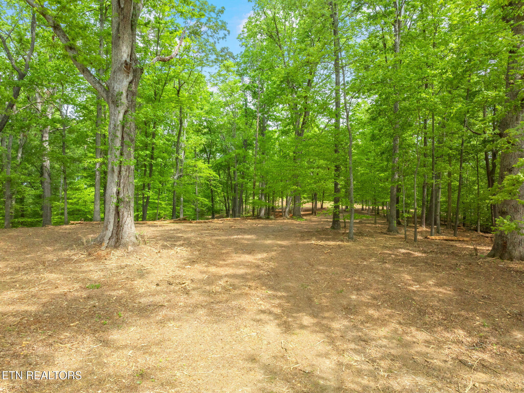 0 Highway 321 S Lenoir City TN 37772