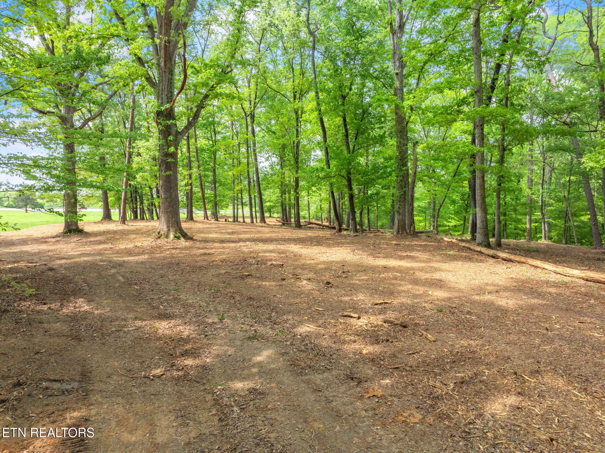 0 Highway 321 S Lenoir City TN 37772