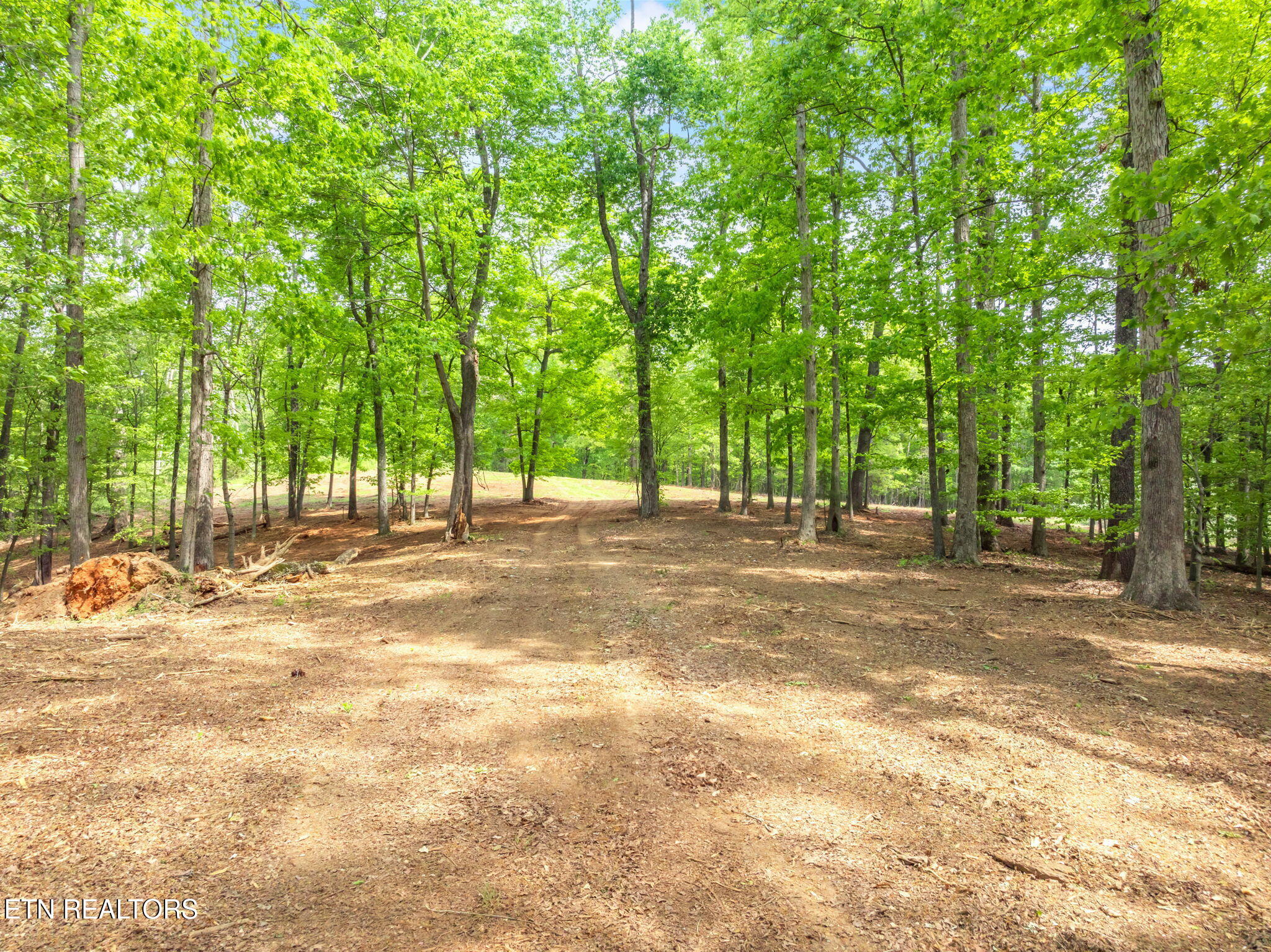 0 Highway 321 S Lenoir City TN 37772