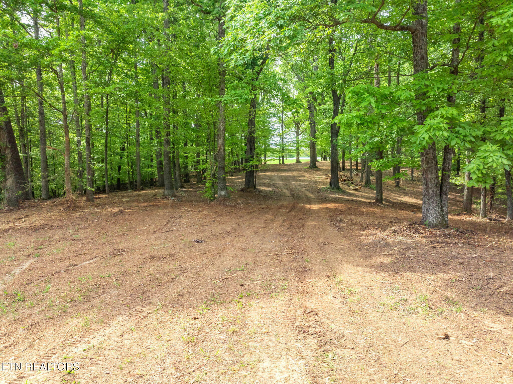 0 Highway 321 S Lenoir City TN 37772